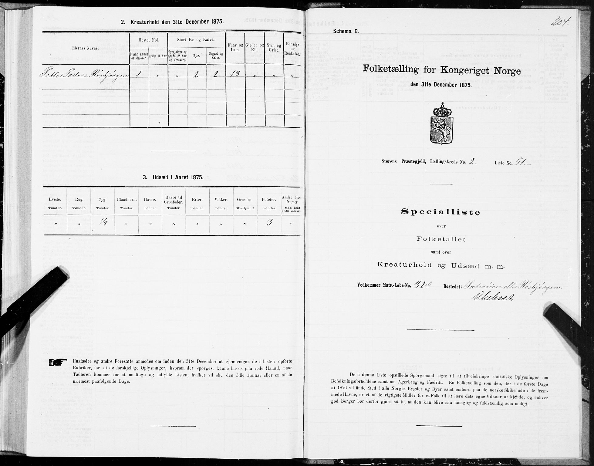 SAT, 1875 census for 1648P Støren, 1875, p. 1204