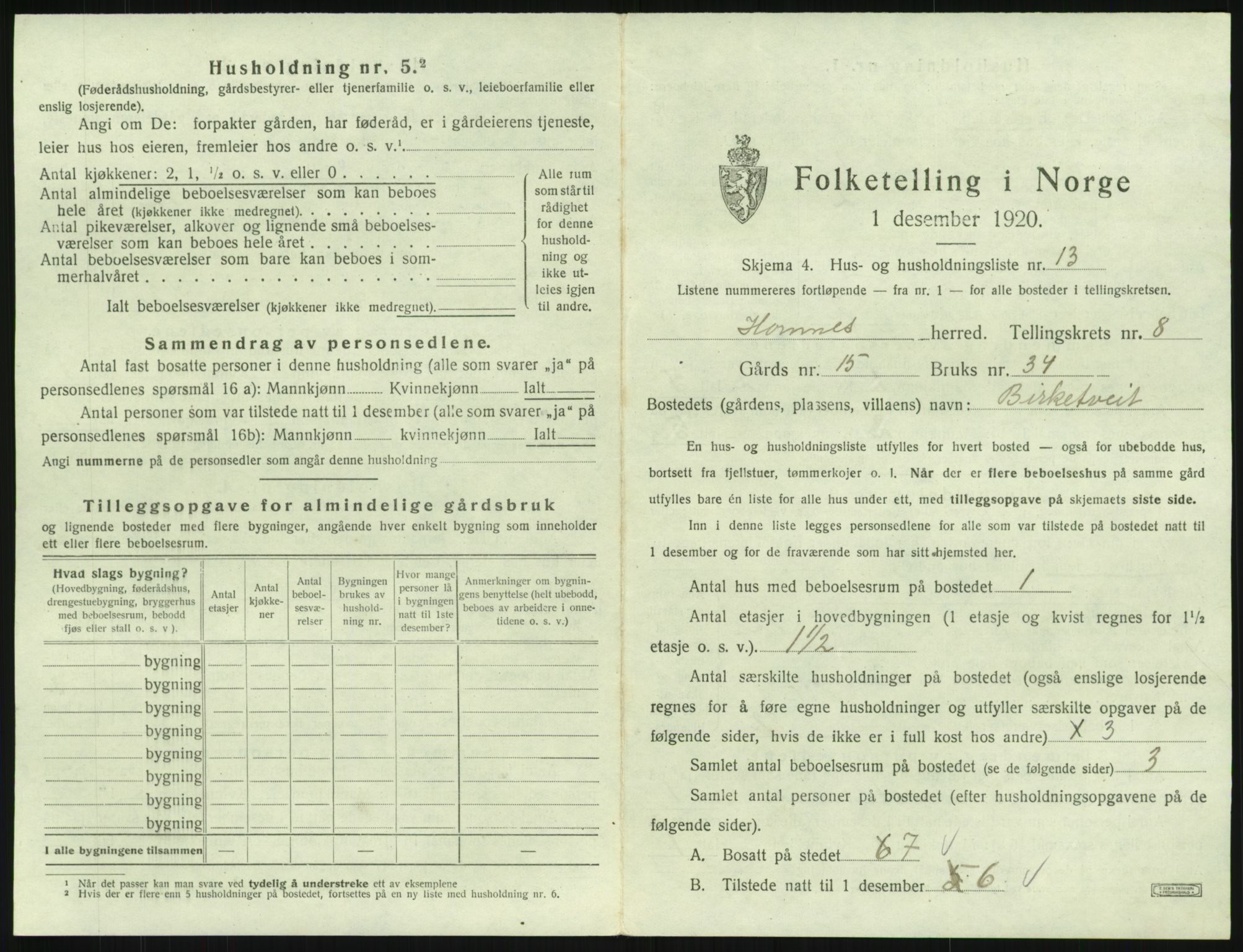 SAK, 1920 census for Hornnes, 1920, p. 319
