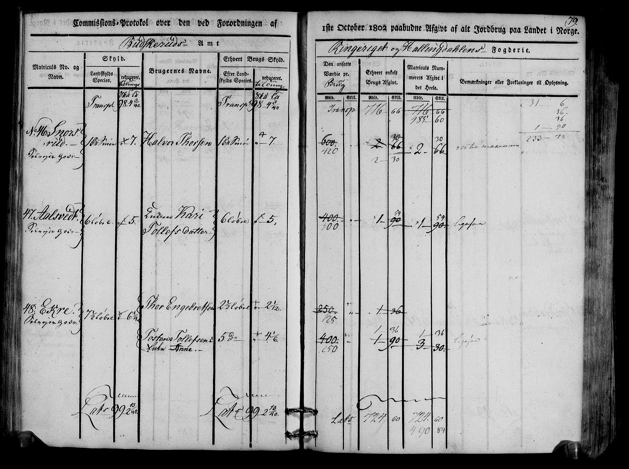 Rentekammeret inntil 1814, Realistisk ordnet avdeling, AV/RA-EA-4070/N/Ne/Nea/L0047: Ringerike og Hallingdal fogderi. Kommisjonsprotokoll for Nes prestegjeld, 1803, p. 82