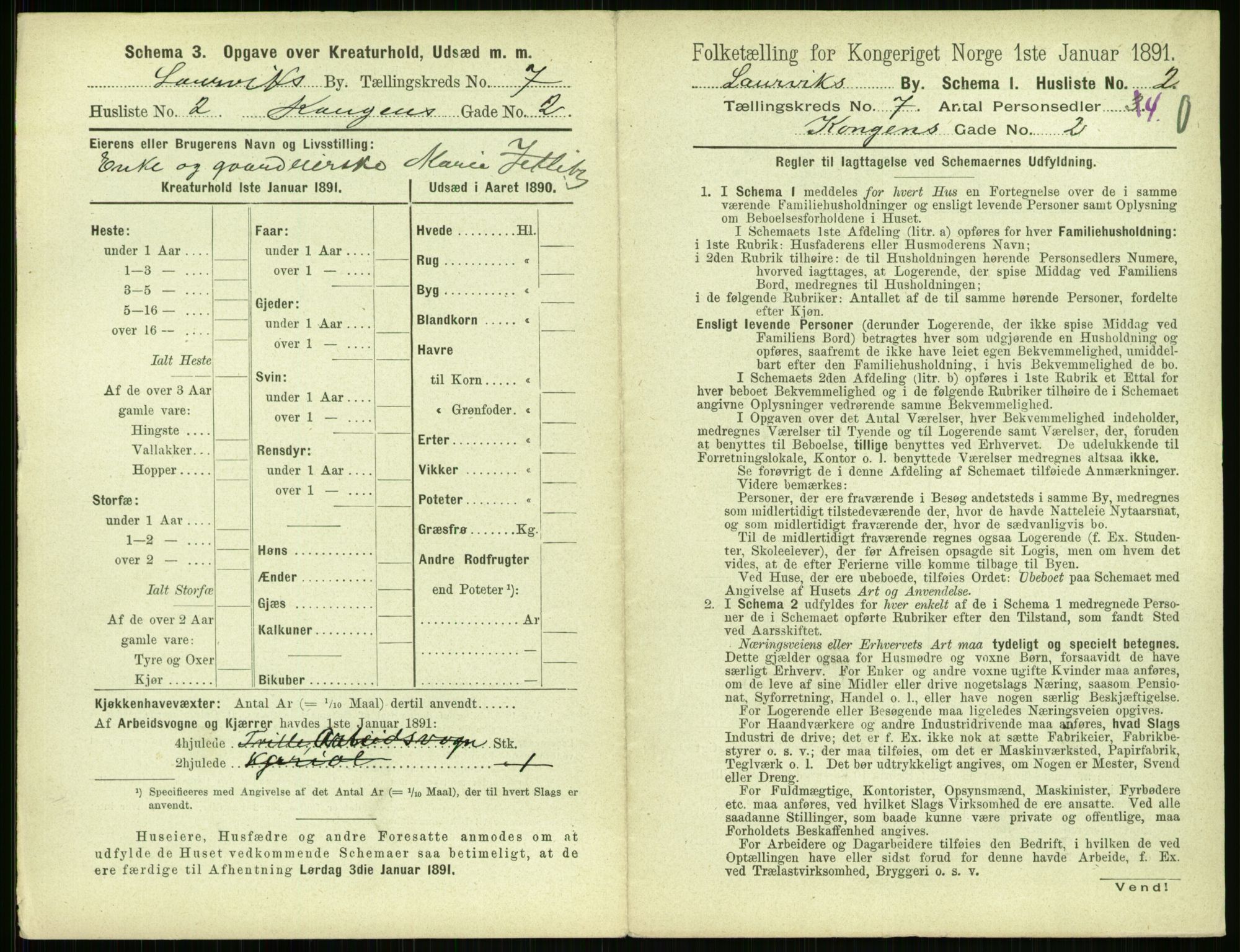 RA, 1891 census for 0707 Larvik, 1891, p. 909