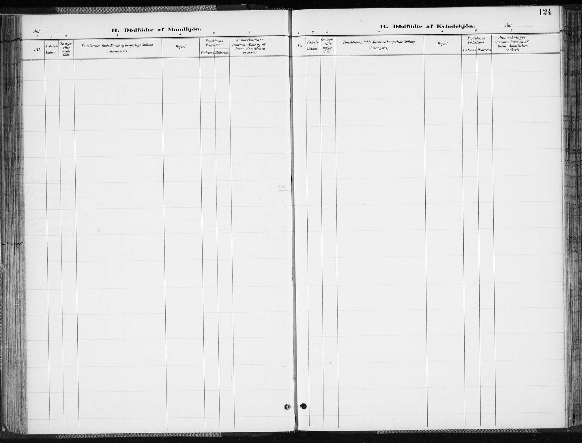 Søgne sokneprestkontor, SAK/1111-0037/F/Fa/Fab/L0013: Parish register (official) no. A 13, 1892-1911, p. 124