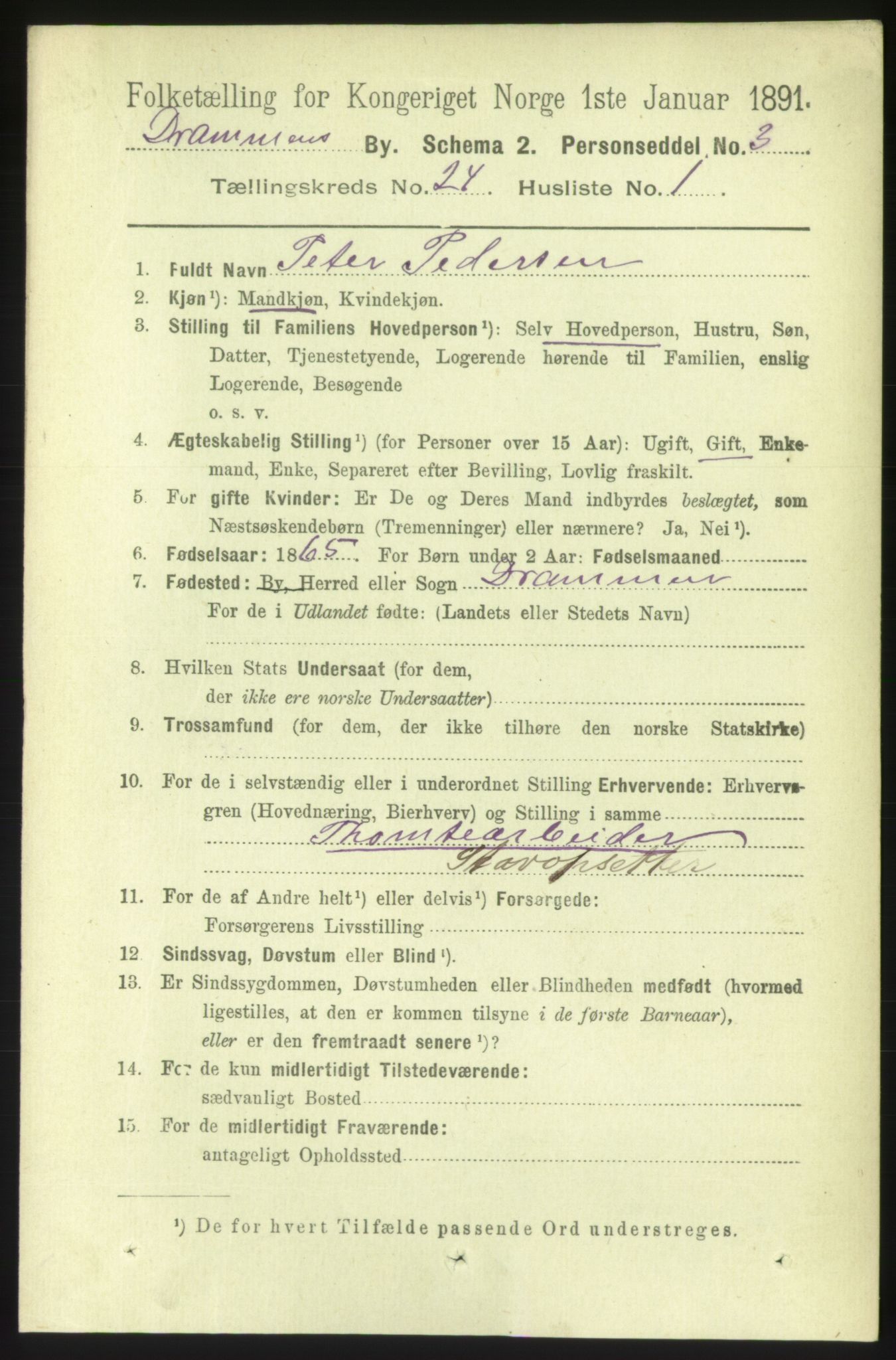 RA, 1891 census for 0602 Drammen, 1891, p. 14719