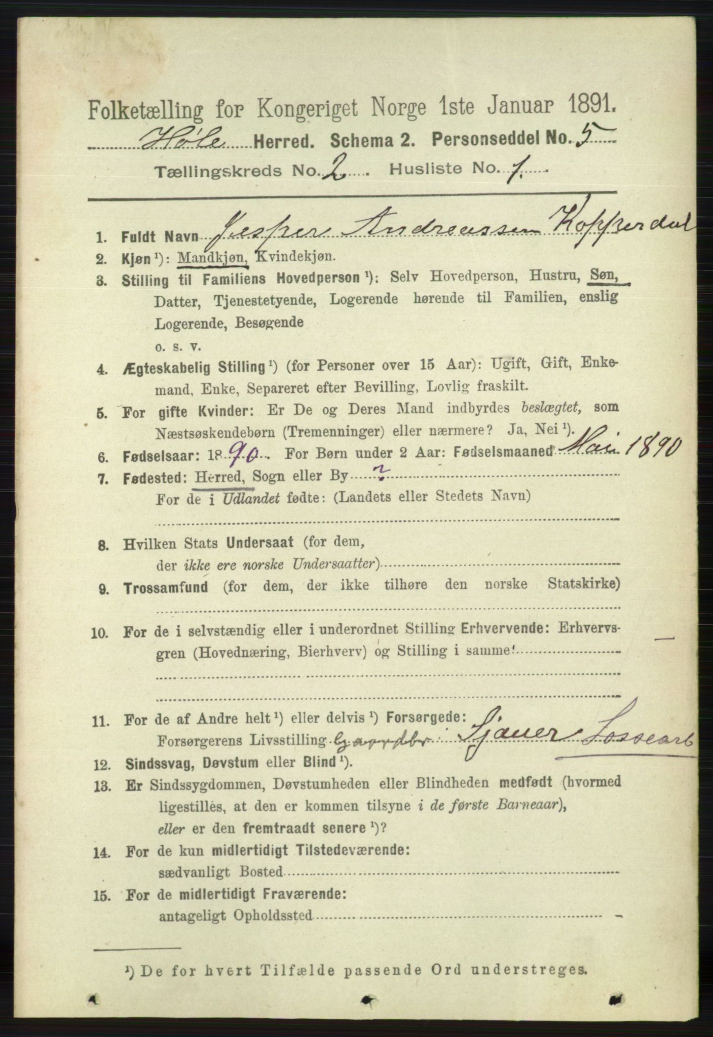 RA, 1891 census for 1128 Høle, 1891, p. 223