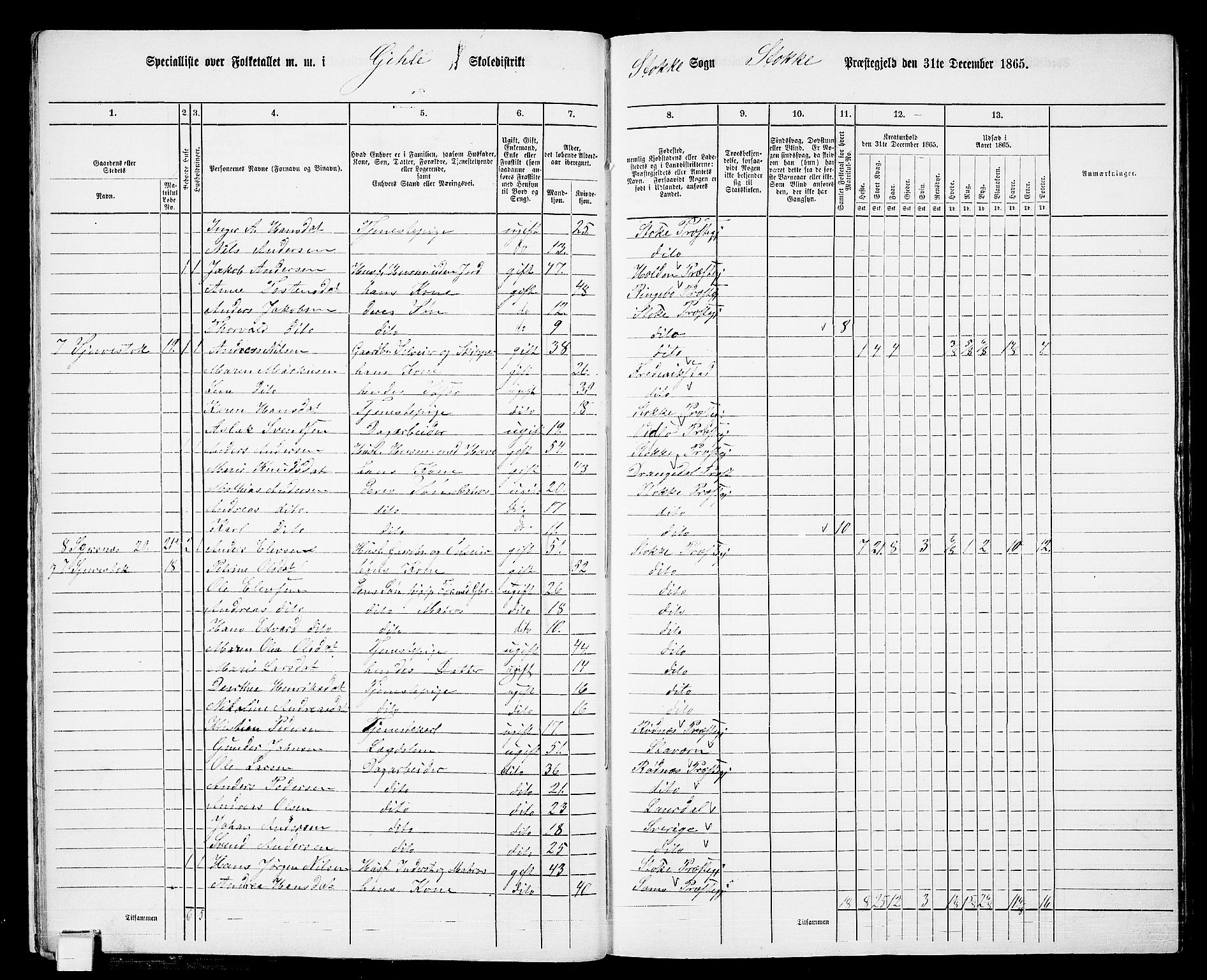 RA, 1865 census for Stokke, 1865, p. 20