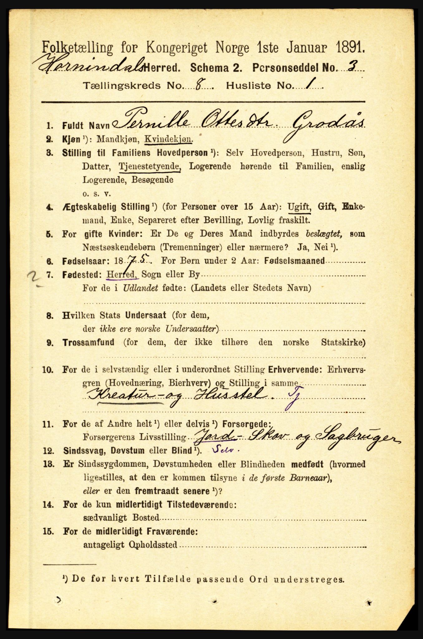 RA, 1891 census for 1444 Hornindal, 1891, p. 1898