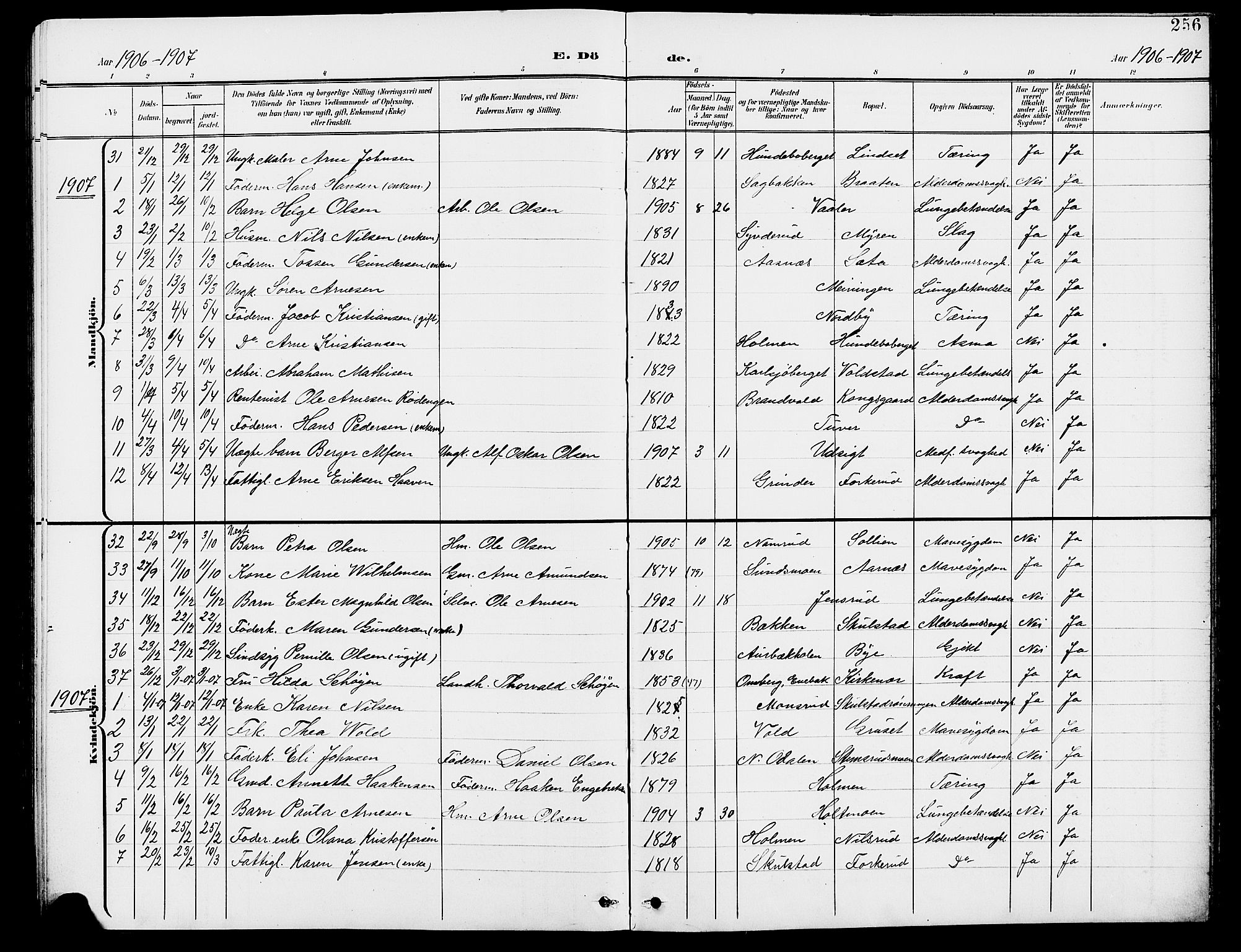 Grue prestekontor, SAH/PREST-036/H/Ha/Hab/L0005: Parish register (copy) no. 5, 1900-1909, p. 256