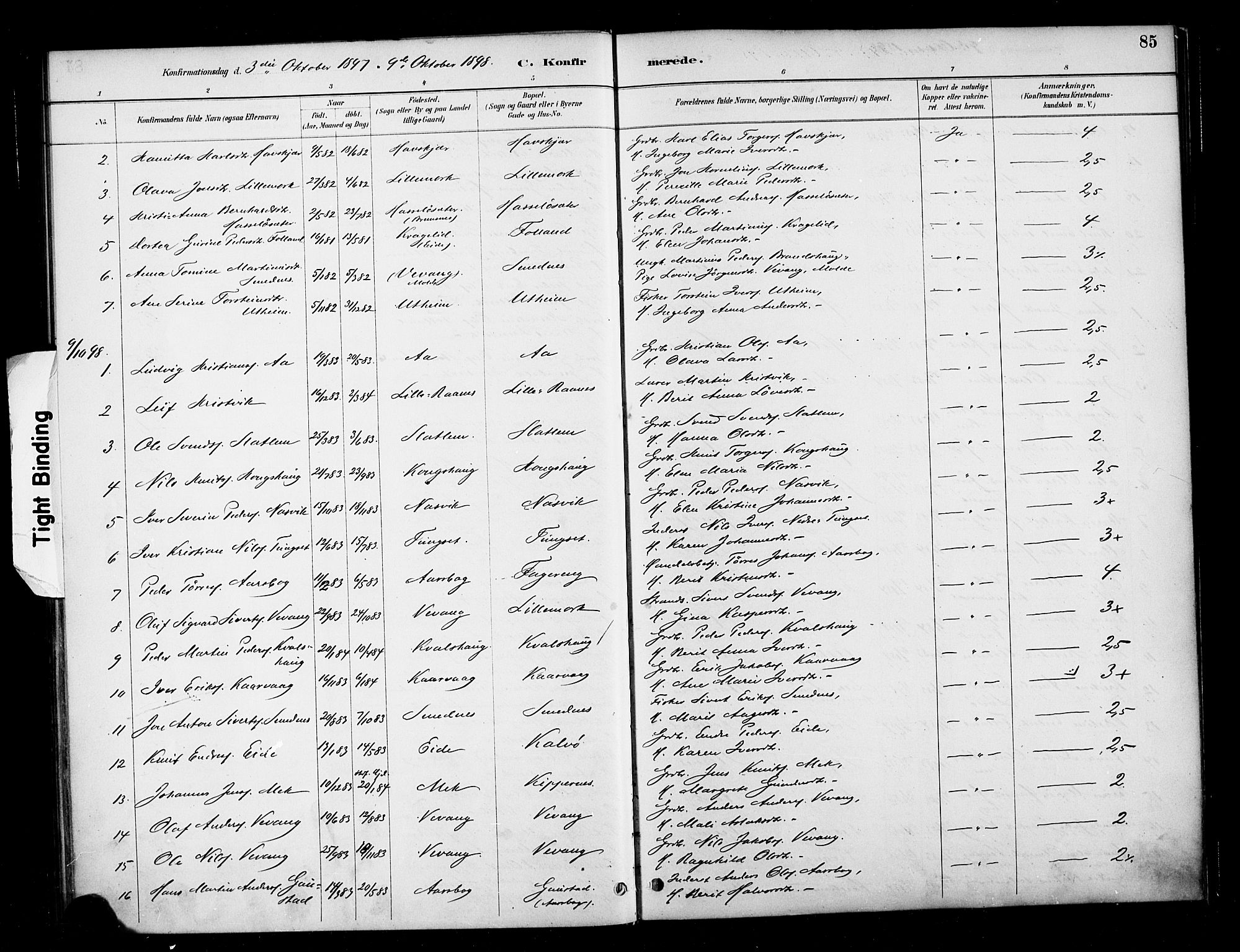 Ministerialprotokoller, klokkerbøker og fødselsregistre - Møre og Romsdal, SAT/A-1454/570/L0832: Parish register (official) no. 570A06, 1885-1900, p. 85