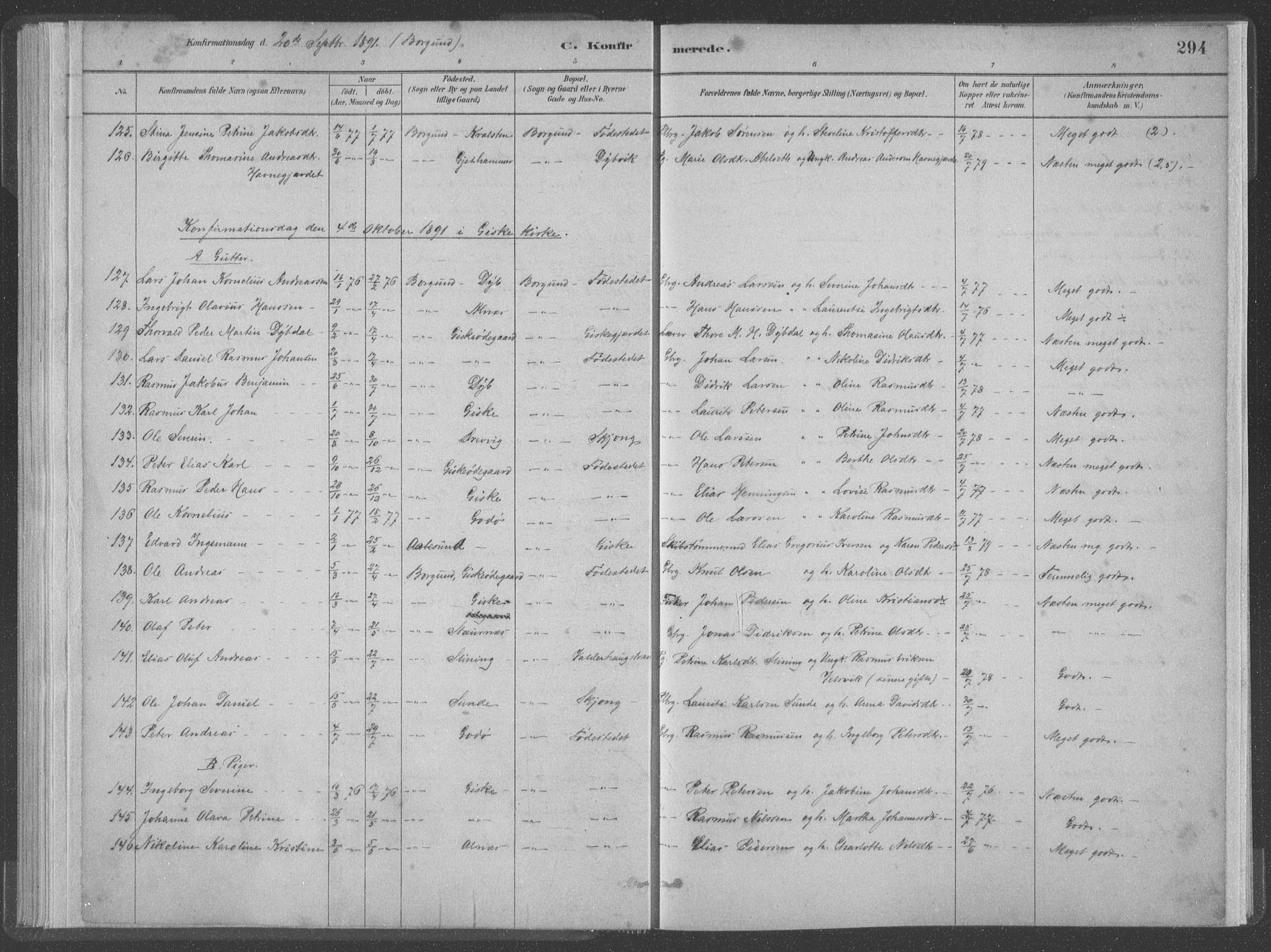 Ministerialprotokoller, klokkerbøker og fødselsregistre - Møre og Romsdal, AV/SAT-A-1454/528/L0402: Parish register (official) no. 528A12II, 1880-1903, p. 294