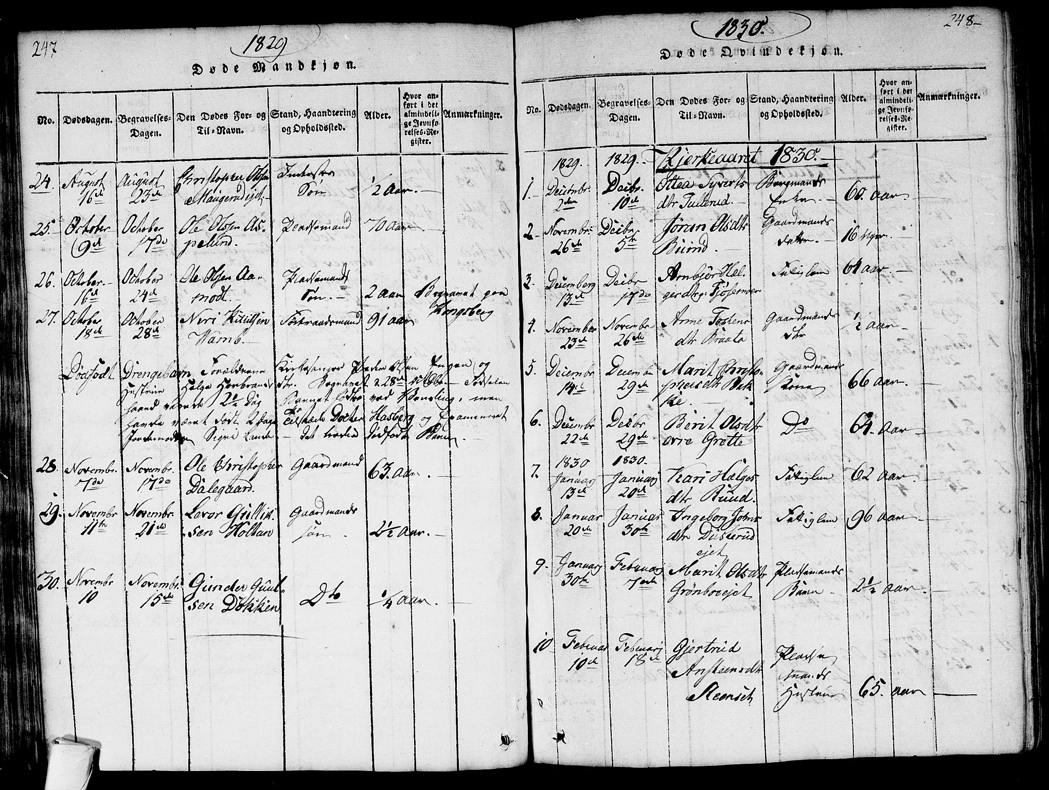 Flesberg kirkebøker, SAKO/A-18/G/Ga/L0001: Parish register (copy) no. I 1, 1816-1834, p. 247-248