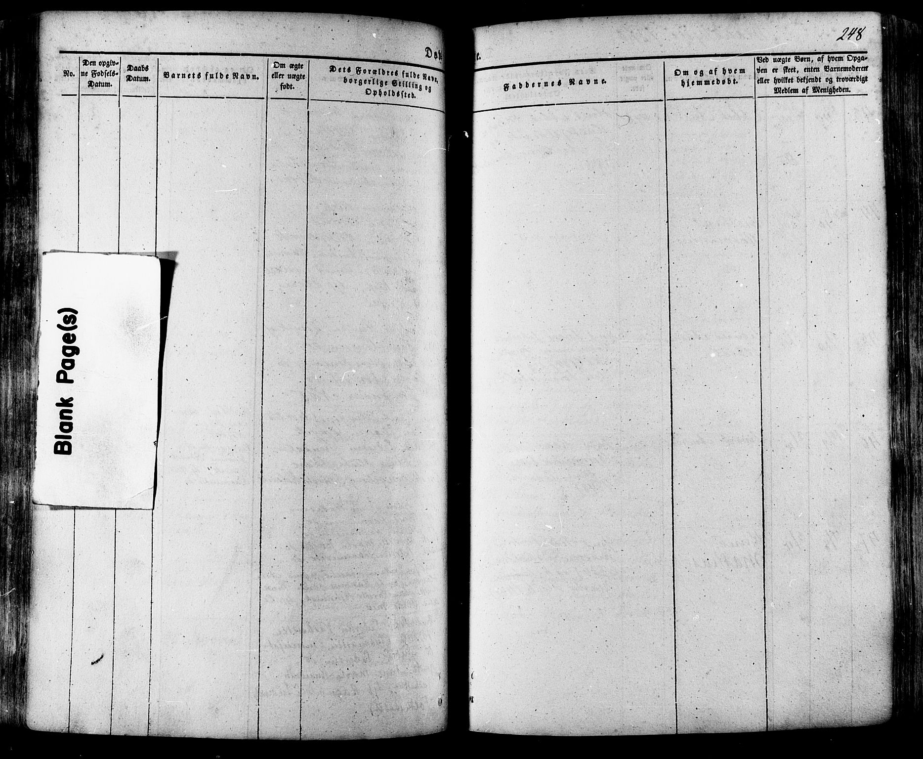Ministerialprotokoller, klokkerbøker og fødselsregistre - Møre og Romsdal, SAT/A-1454/511/L0140: Parish register (official) no. 511A07, 1851-1878, p. 248