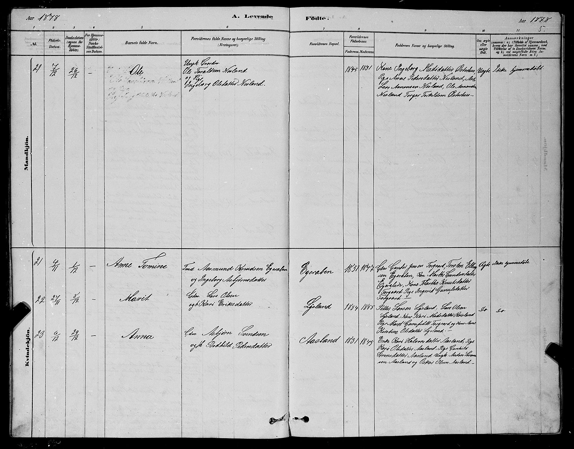 Åseral sokneprestkontor, SAK/1111-0051/F/Fb/L0002: Parish register (copy) no. B 2, 1878-1899, p. 5