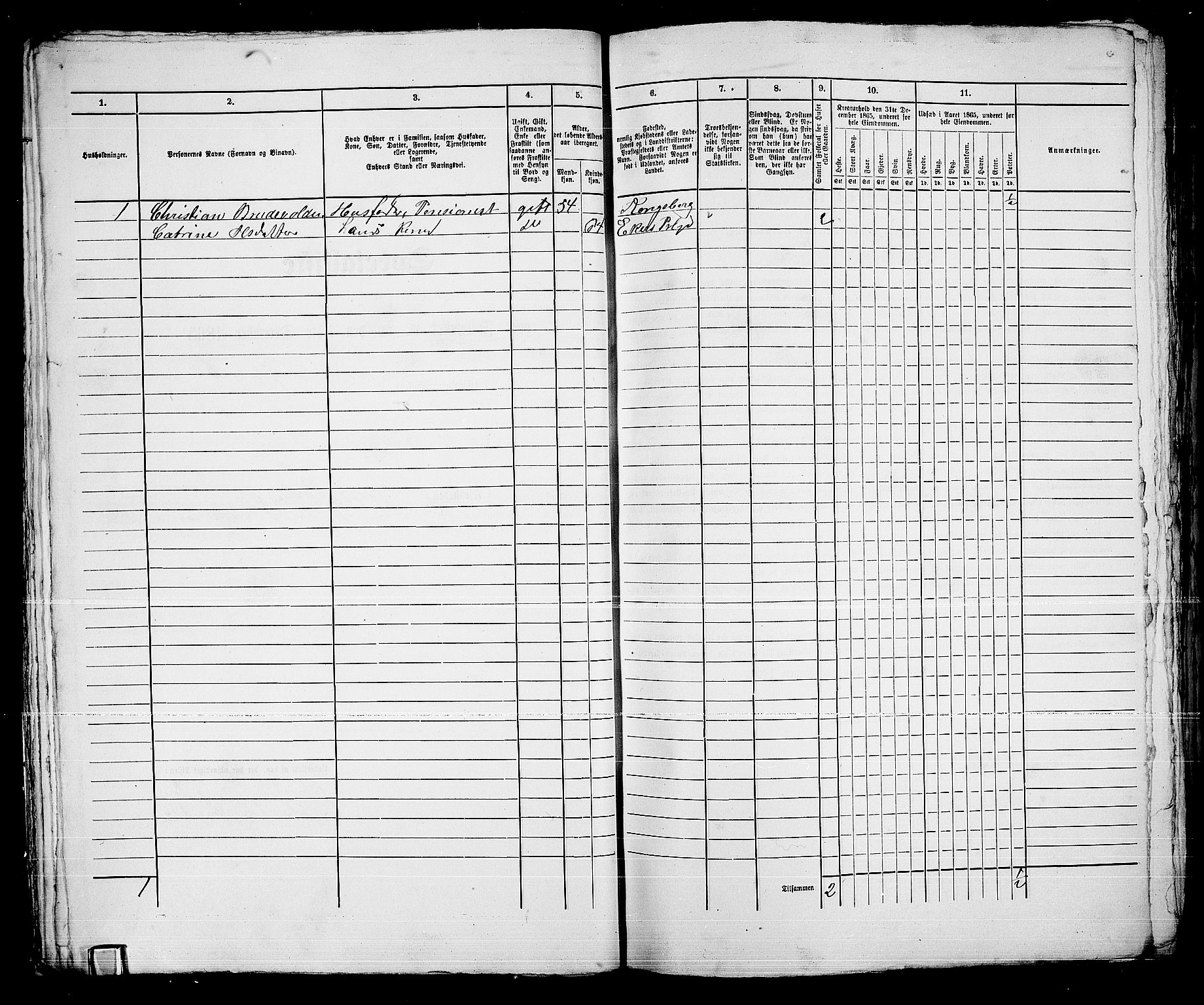 RA, 1865 census for Kongsberg/Kongsberg, 1865, p. 1053