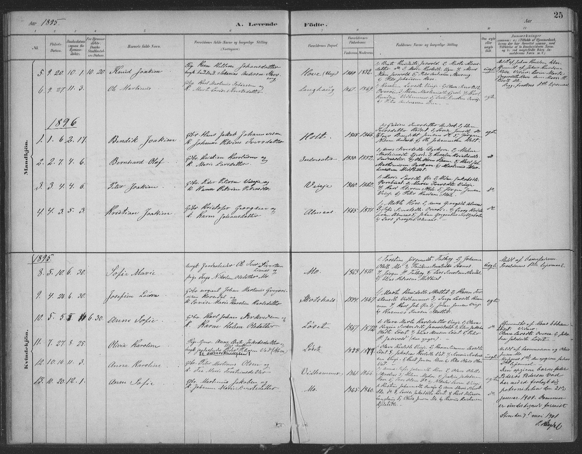 Ministerialprotokoller, klokkerbøker og fødselsregistre - Møre og Romsdal, SAT/A-1454/521/L0299: Parish register (official) no. 521A01, 1882-1907, p. 25