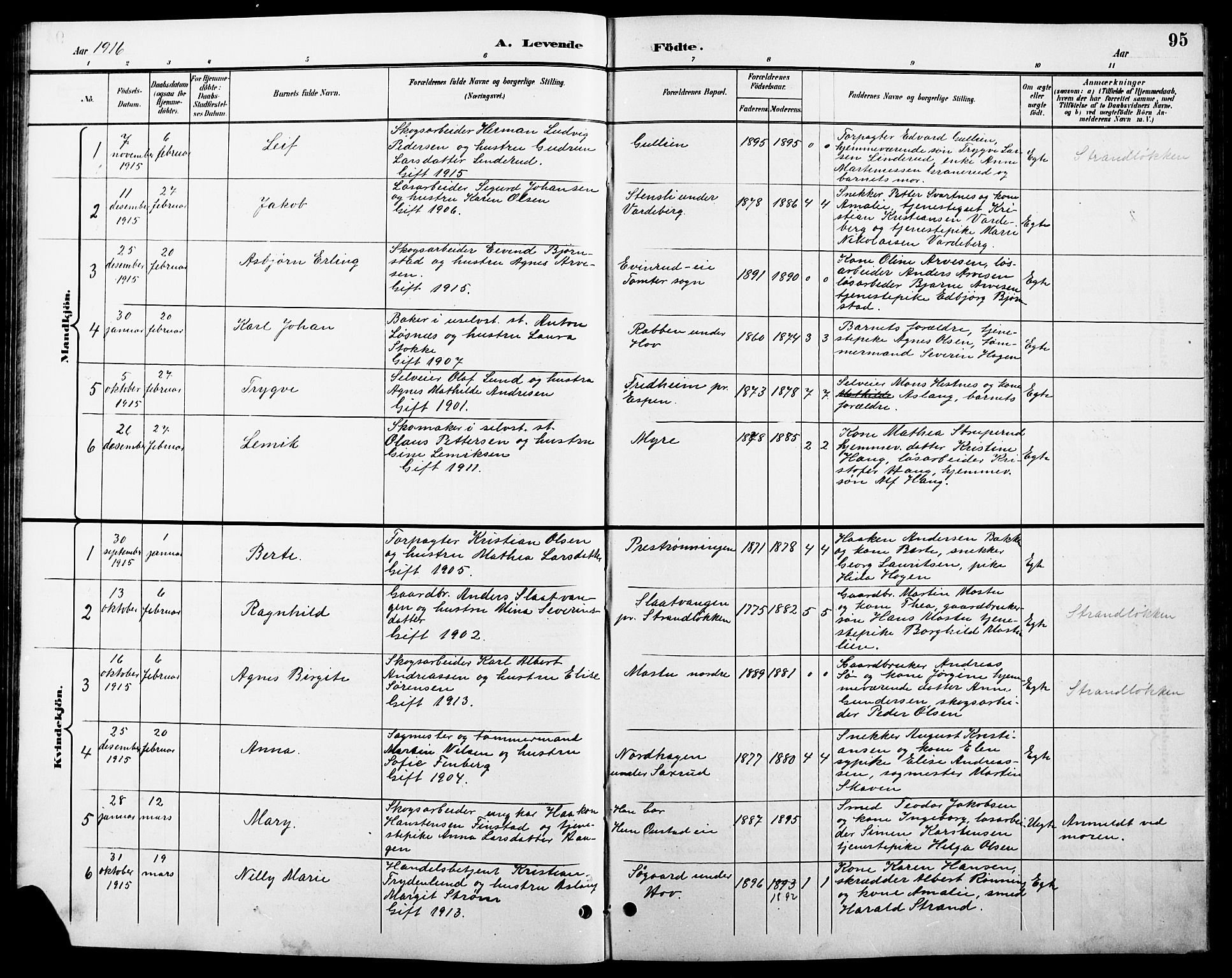 Stange prestekontor, SAH/PREST-002/L/L0011: Parish register (copy) no. 11, 1895-1917, p. 95