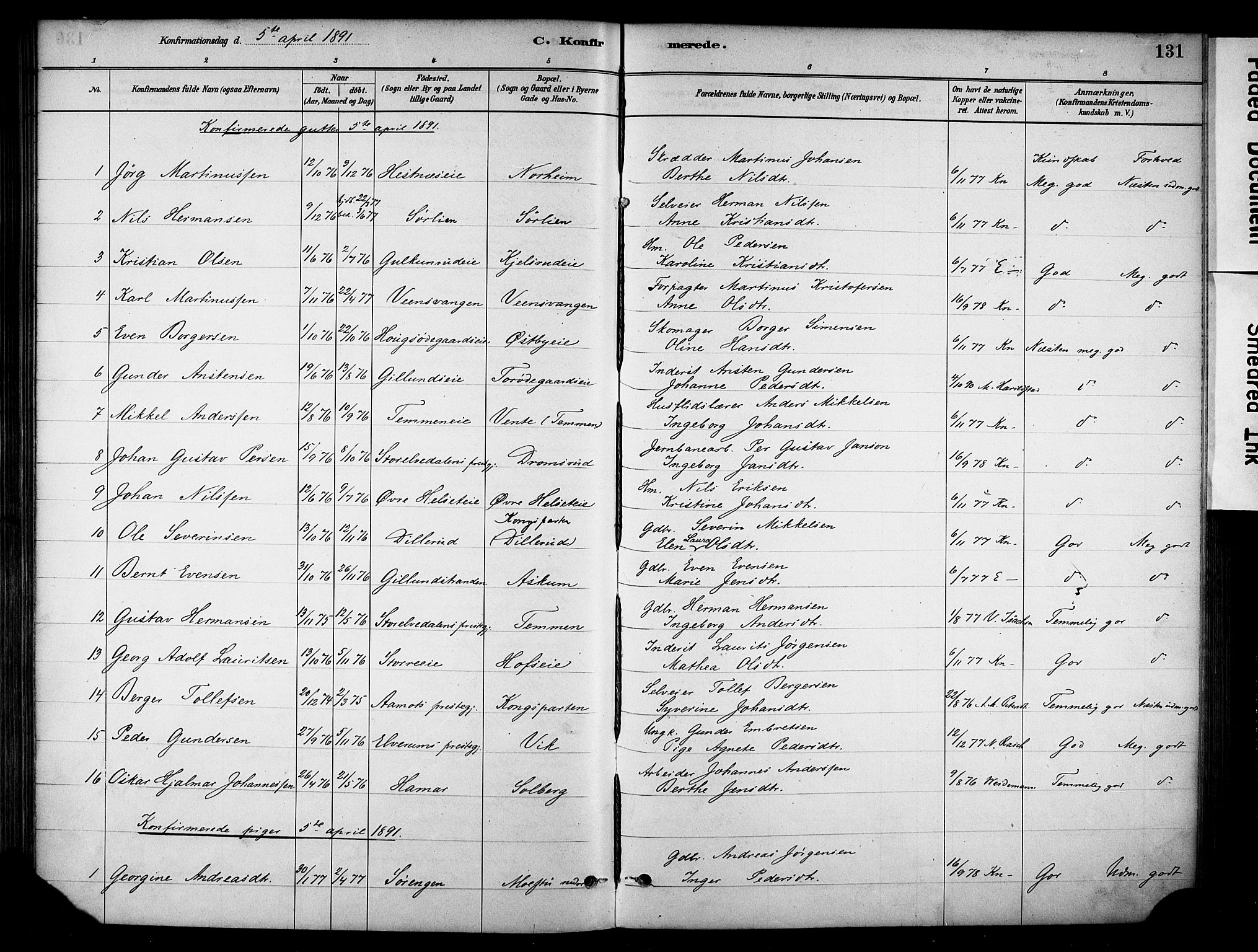 Stange prestekontor, SAH/PREST-002/K/L0018: Parish register (official) no. 18, 1880-1896, p. 131