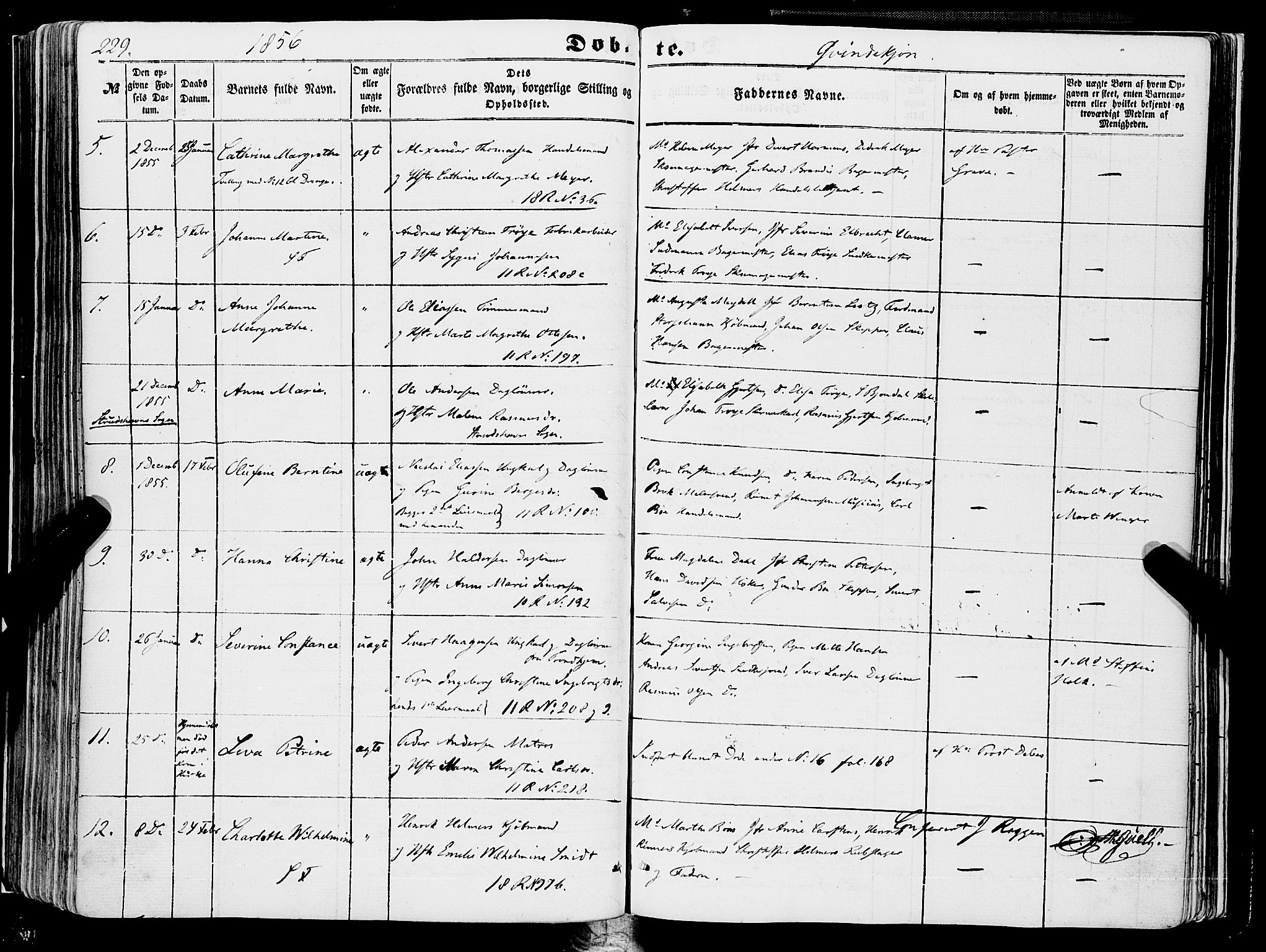 Domkirken sokneprestembete, SAB/A-74801/H/Haa/L0020: Parish register (official) no. B 3, 1851-1859, p. 229
