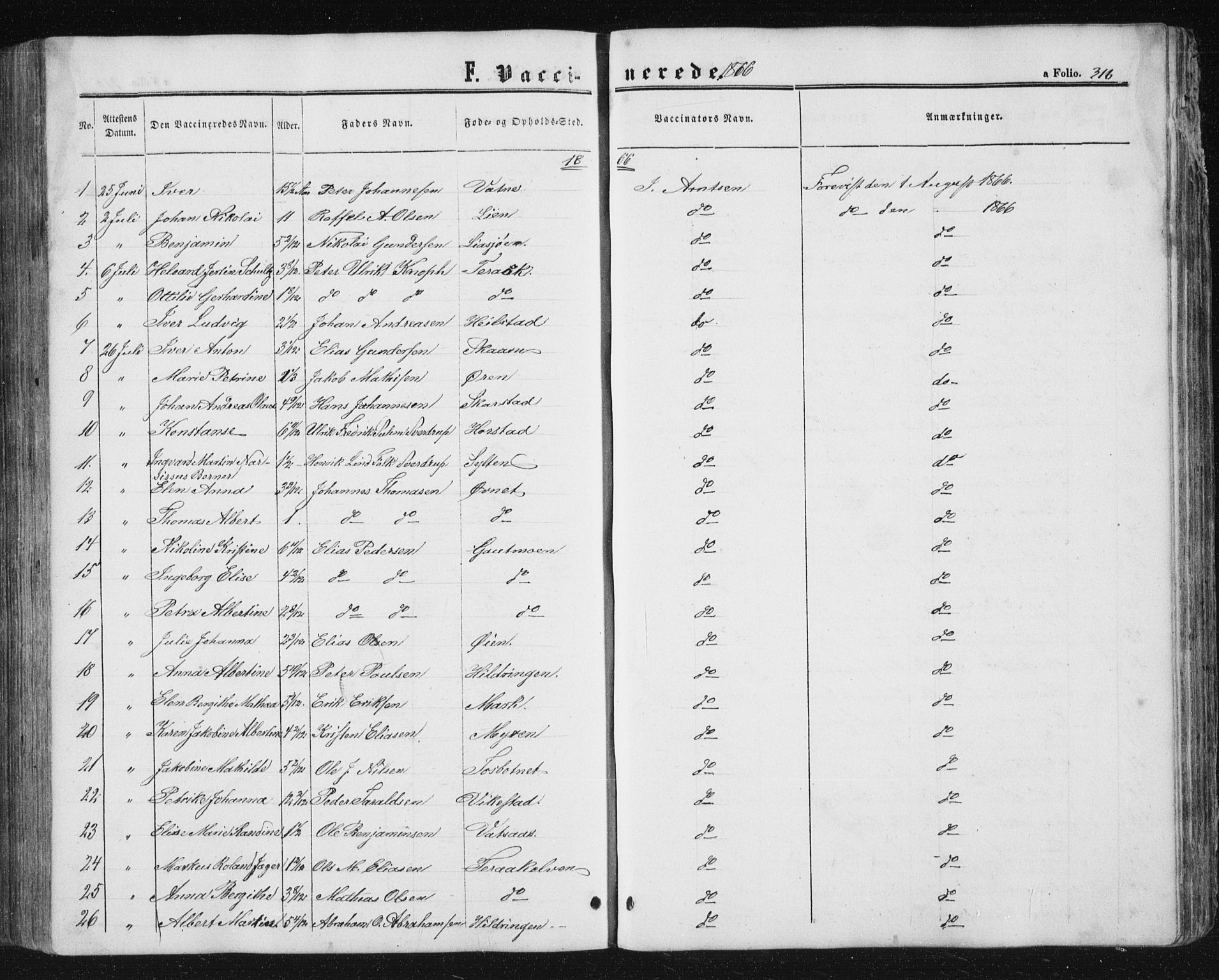 Ministerialprotokoller, klokkerbøker og fødselsregistre - Nordland, AV/SAT-A-1459/810/L0158: Parish register (copy) no. 810C02 /1, 1863-1883, p. 316