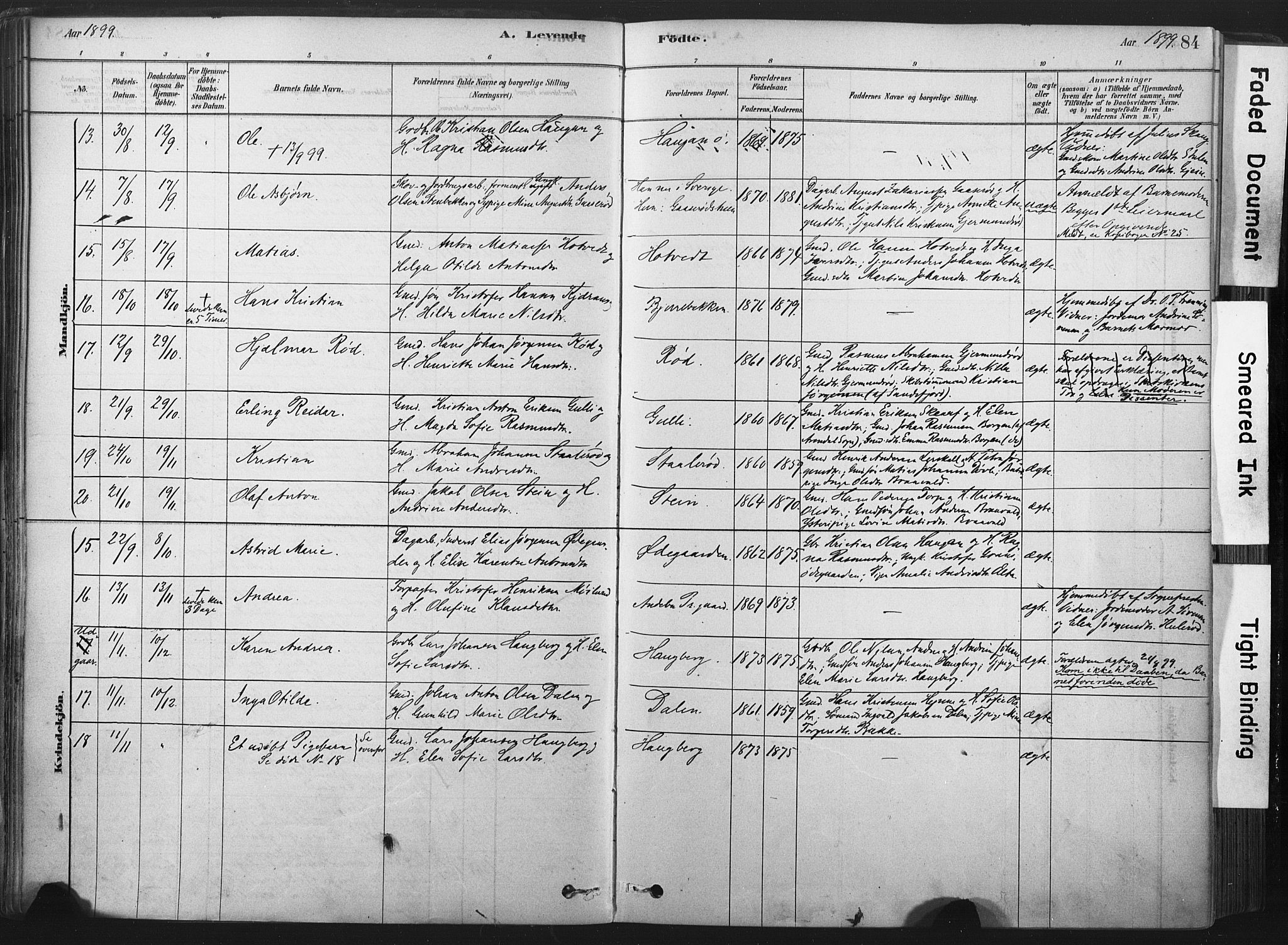 Andebu kirkebøker, AV/SAKO-A-336/F/Fa/L0007: Parish register (official) no. 7, 1878-1899, p. 84