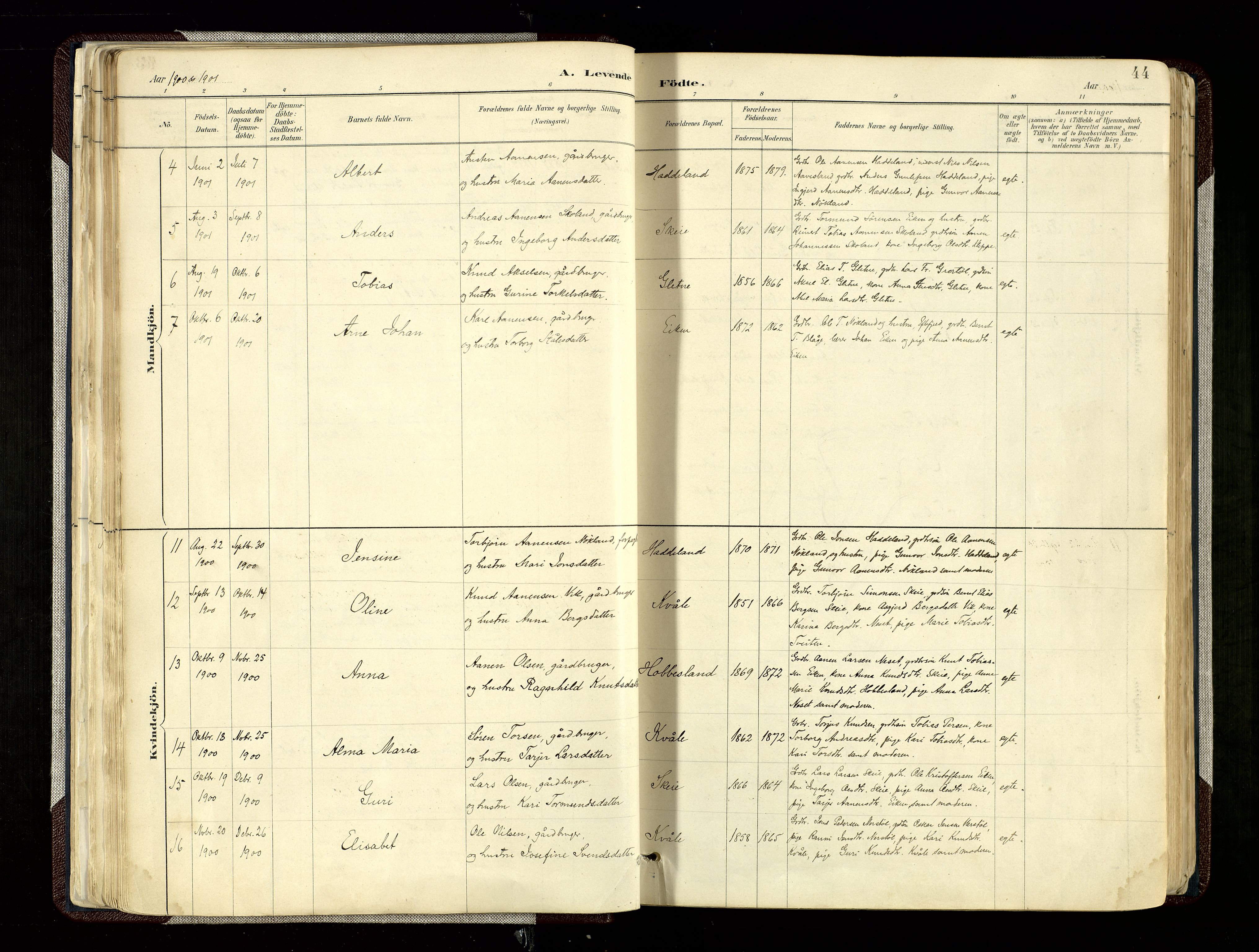 Hægebostad sokneprestkontor, SAK/1111-0024/F/Fa/Fab/L0004: Parish register (official) no. A 4, 1887-1929, p. 44