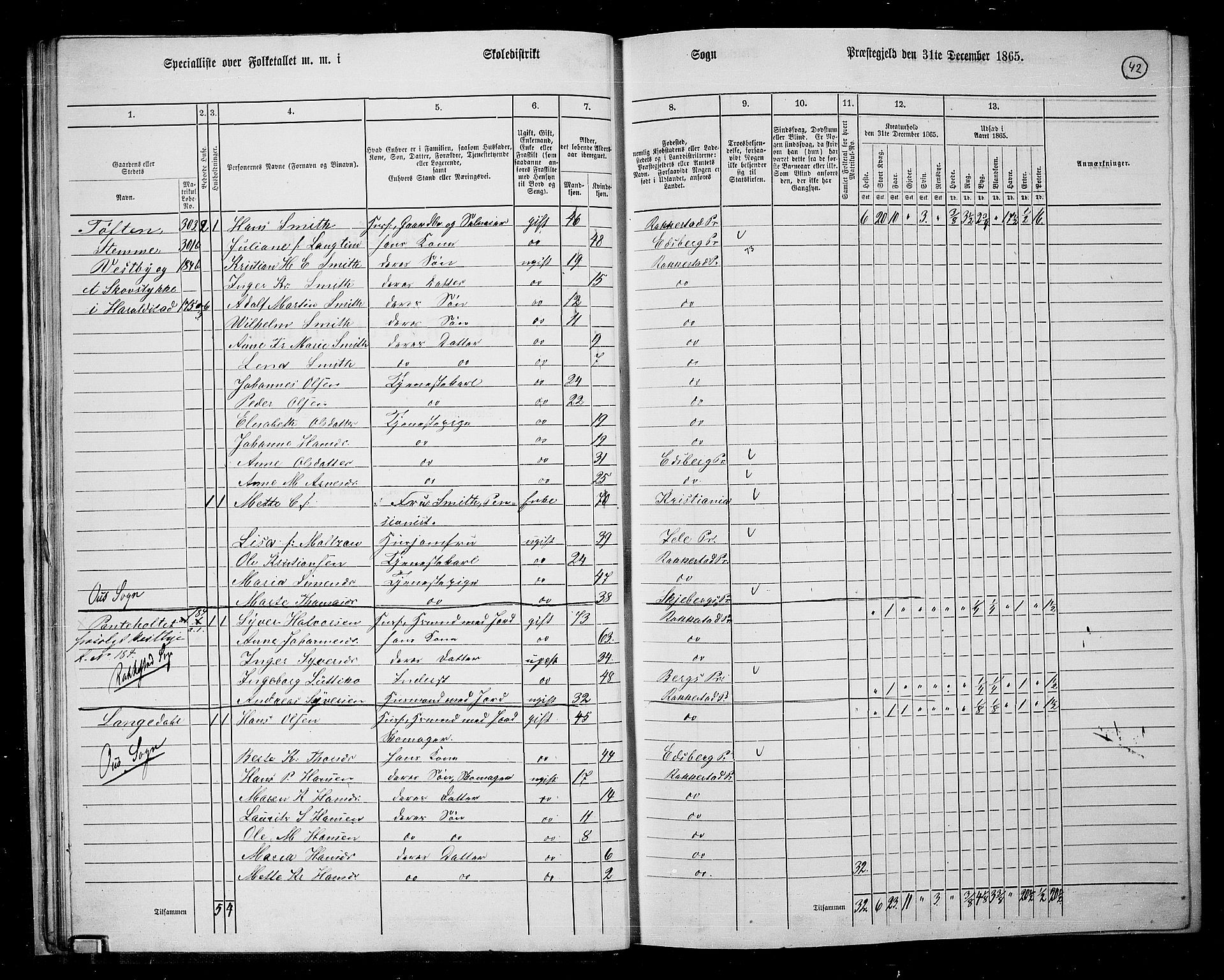 RA, 1865 census for Rakkestad, 1865, p. 43