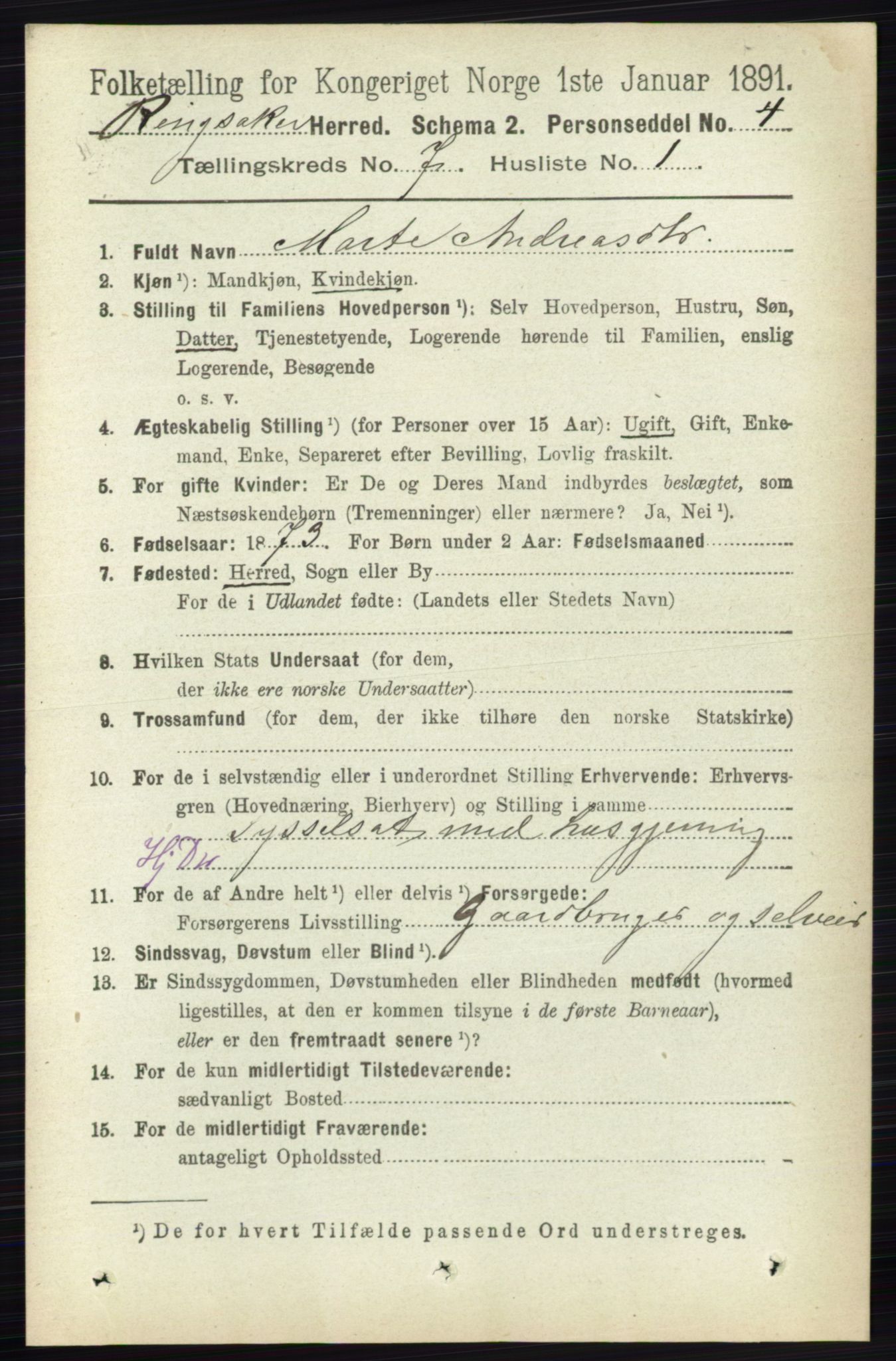 RA, 1891 census for 0412 Ringsaker, 1891, p. 3869