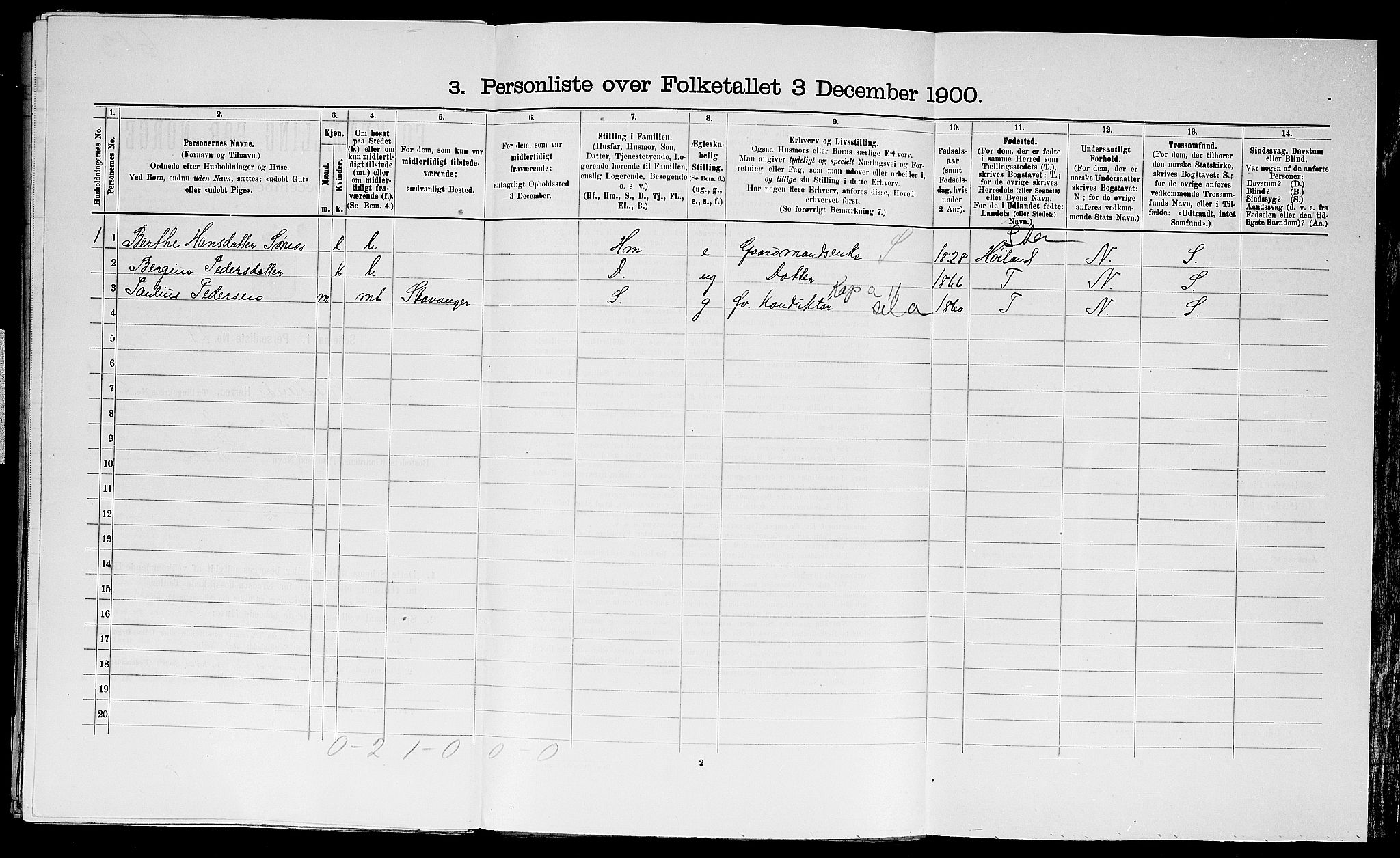 SAST, 1900 census for Haaland, 1900, p. 872