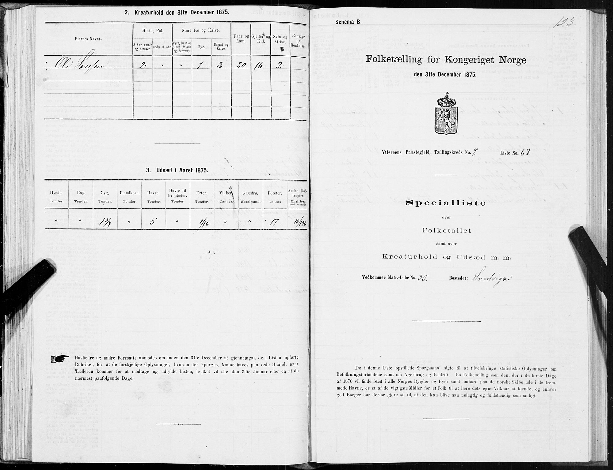 SAT, 1875 census for 1722P Ytterøy, 1875, p. 4123