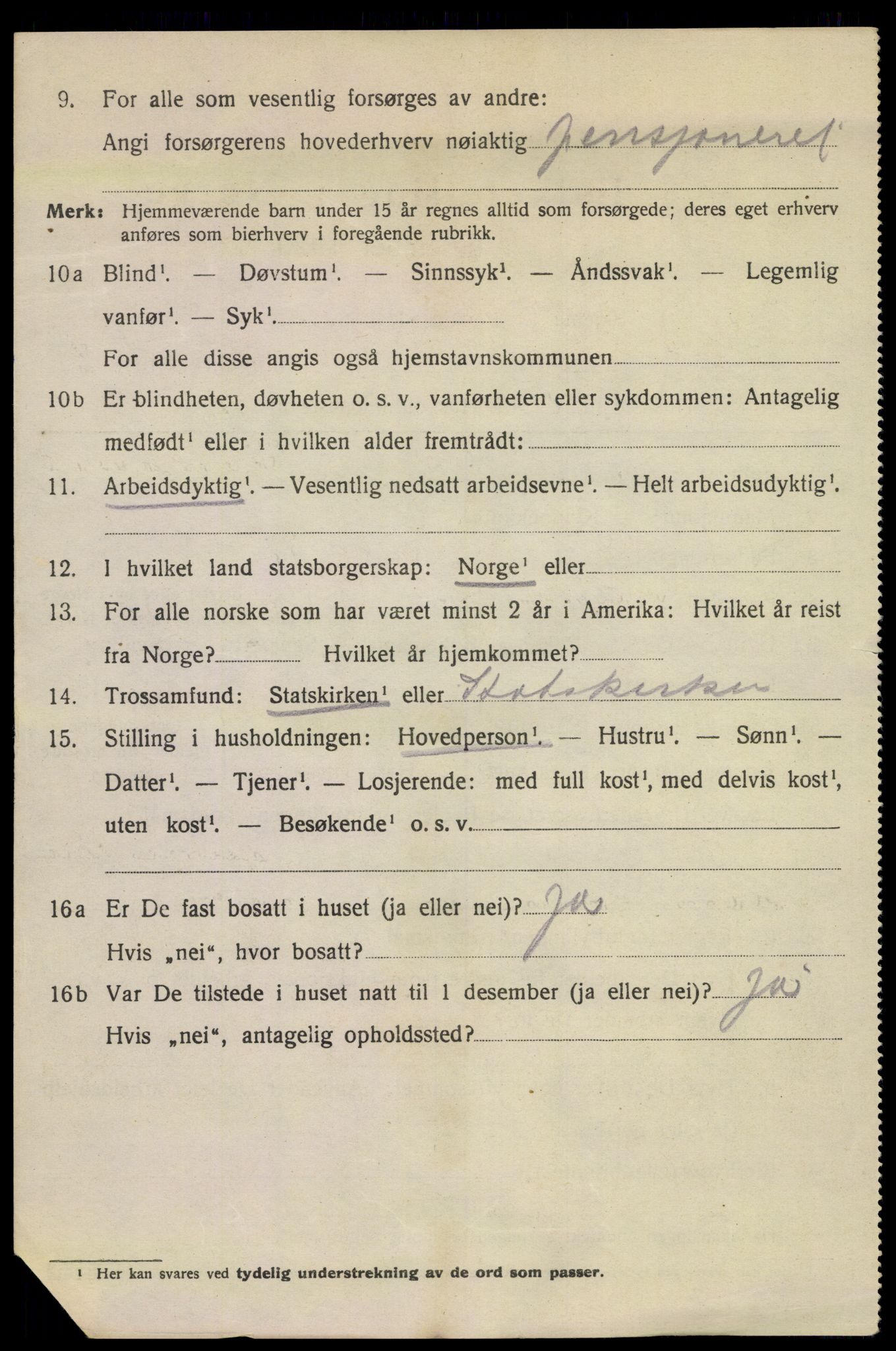 SAKO, 1920 census for Kragerø, 1920, p. 11104