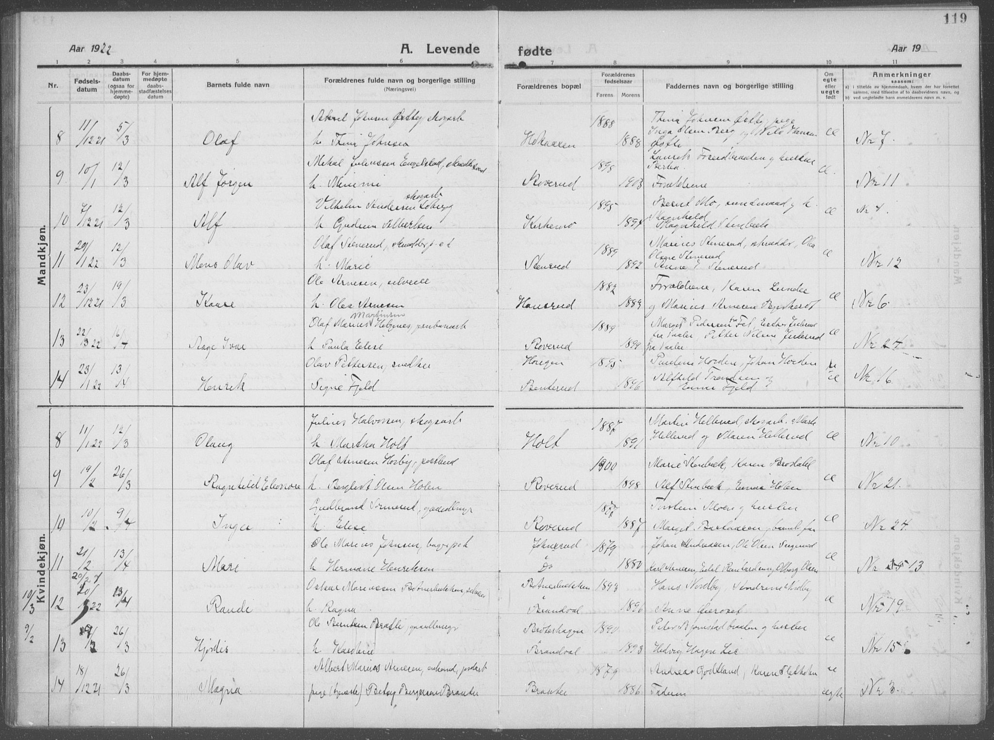 Brandval prestekontor, AV/SAH-PREST-034/H/Ha/Haa/L0004: Parish register (official) no. 4, 1910-1924, p. 119