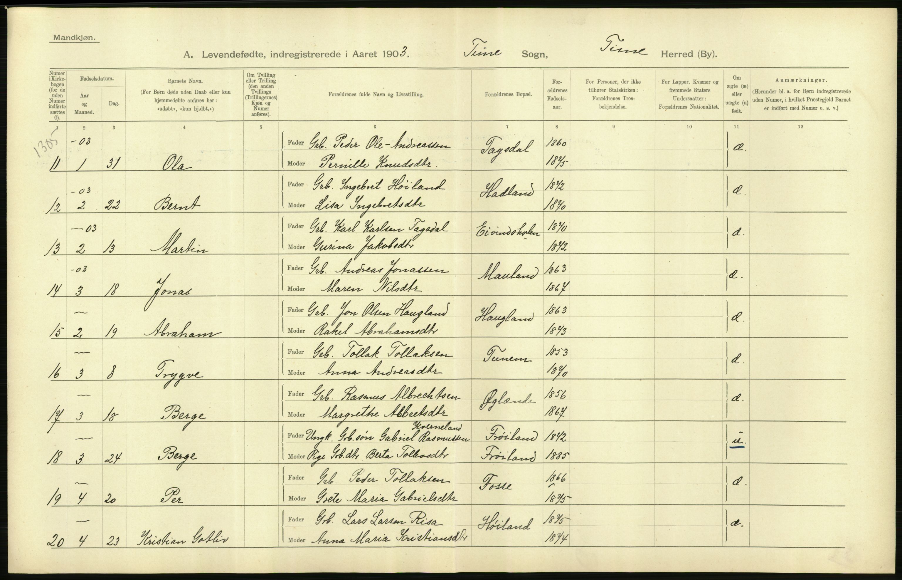 Statistisk sentralbyrå, Sosiodemografiske emner, Befolkning, AV/RA-S-2228/D/Df/Dfa/Dfaa/L0012: Stavanger amt: Fødte, gifte, døde, 1903, p. 32