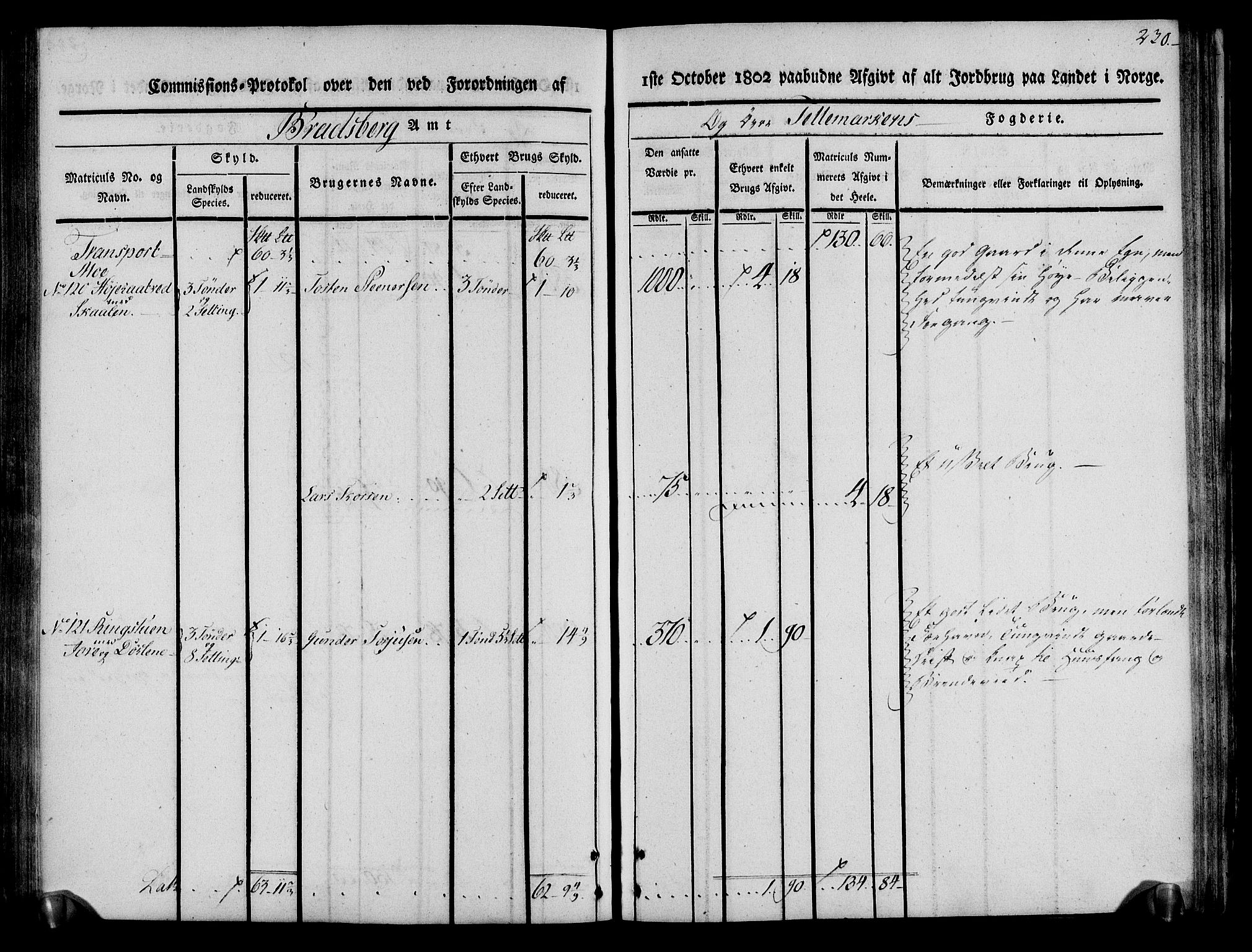 Rentekammeret inntil 1814, Realistisk ordnet avdeling, AV/RA-EA-4070/N/Ne/Nea/L0075: Øvre Telemarken fogderi. Kommisjonsprotokoll for fogderiets vestre del - Kviteseid, Vinje, Moland [):Fyresdal] og Lårdal prestegjeld., 1803, p. 232