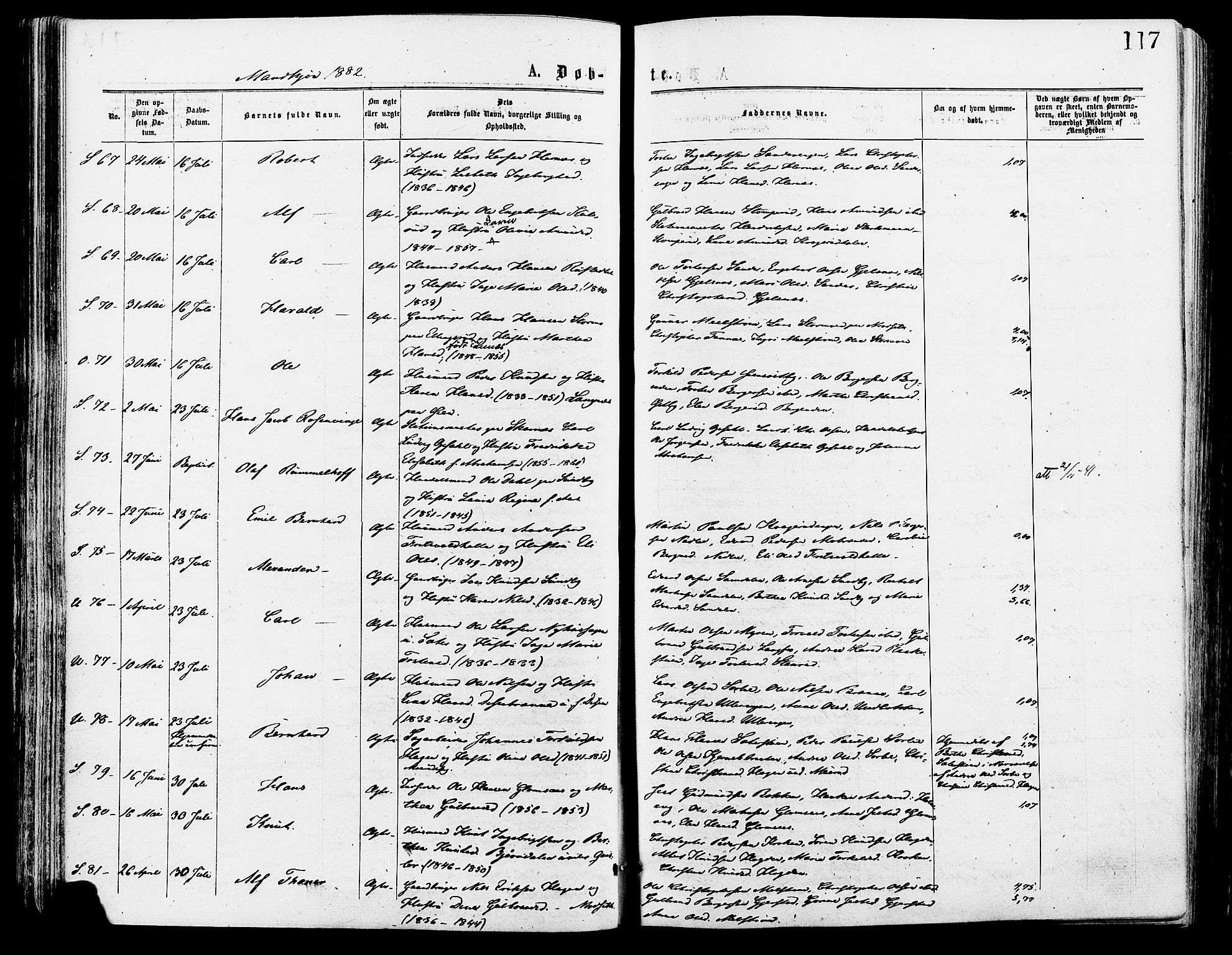 Sør-Odal prestekontor, SAH/PREST-030/H/Ha/Haa/L0005: Parish register (official) no. 5, 1876-1885, p. 117