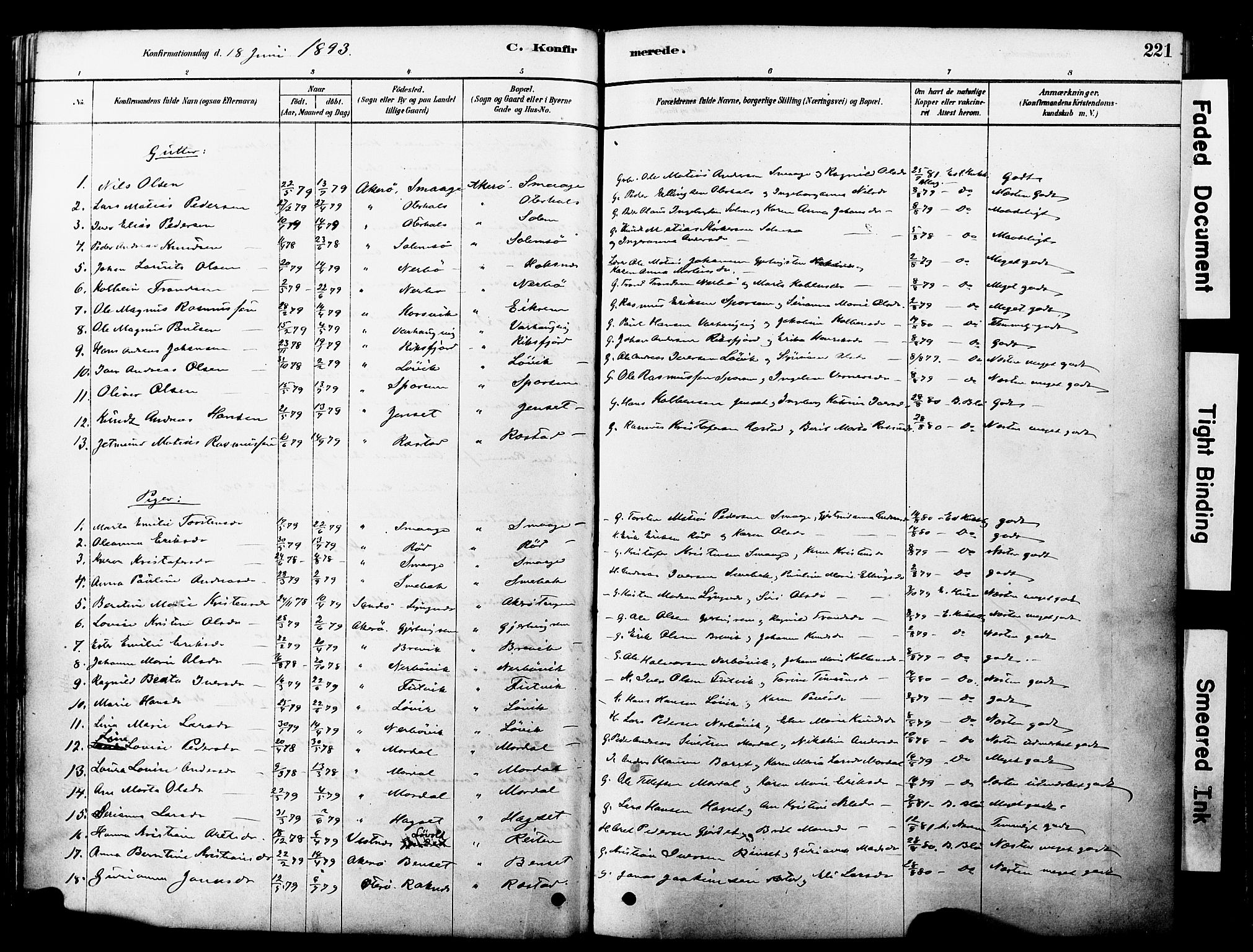 Ministerialprotokoller, klokkerbøker og fødselsregistre - Møre og Romsdal, SAT/A-1454/560/L0721: Parish register (official) no. 560A05, 1878-1917, p. 221