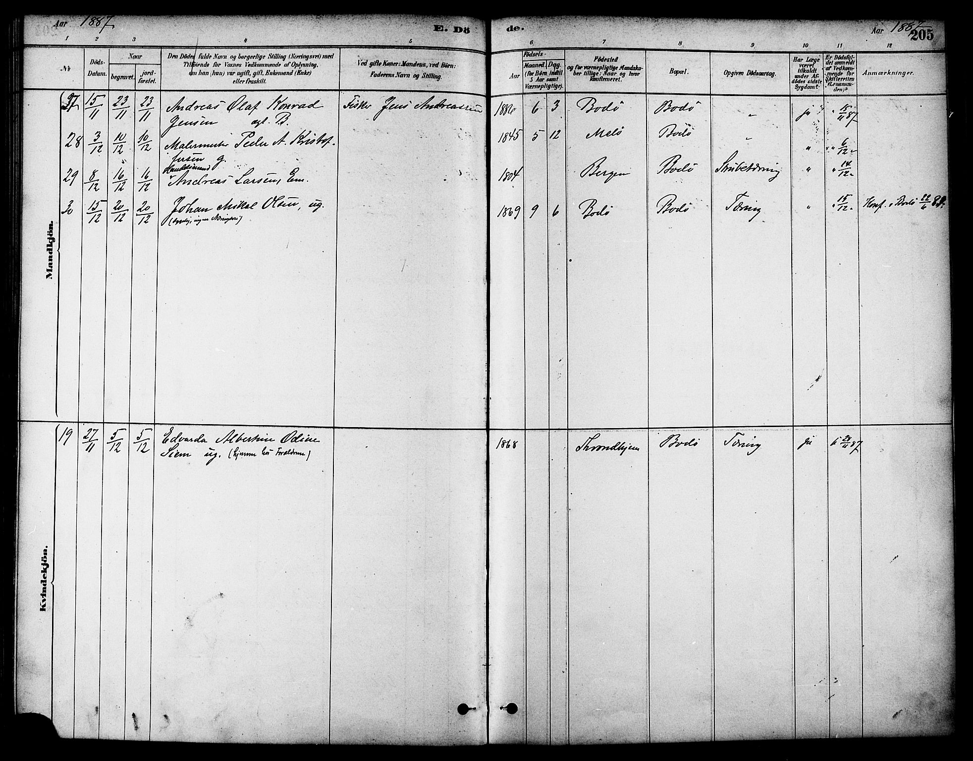 Ministerialprotokoller, klokkerbøker og fødselsregistre - Nordland, AV/SAT-A-1459/801/L0030: Parish register (copy) no. 801C05, 1879-1887, p. 205