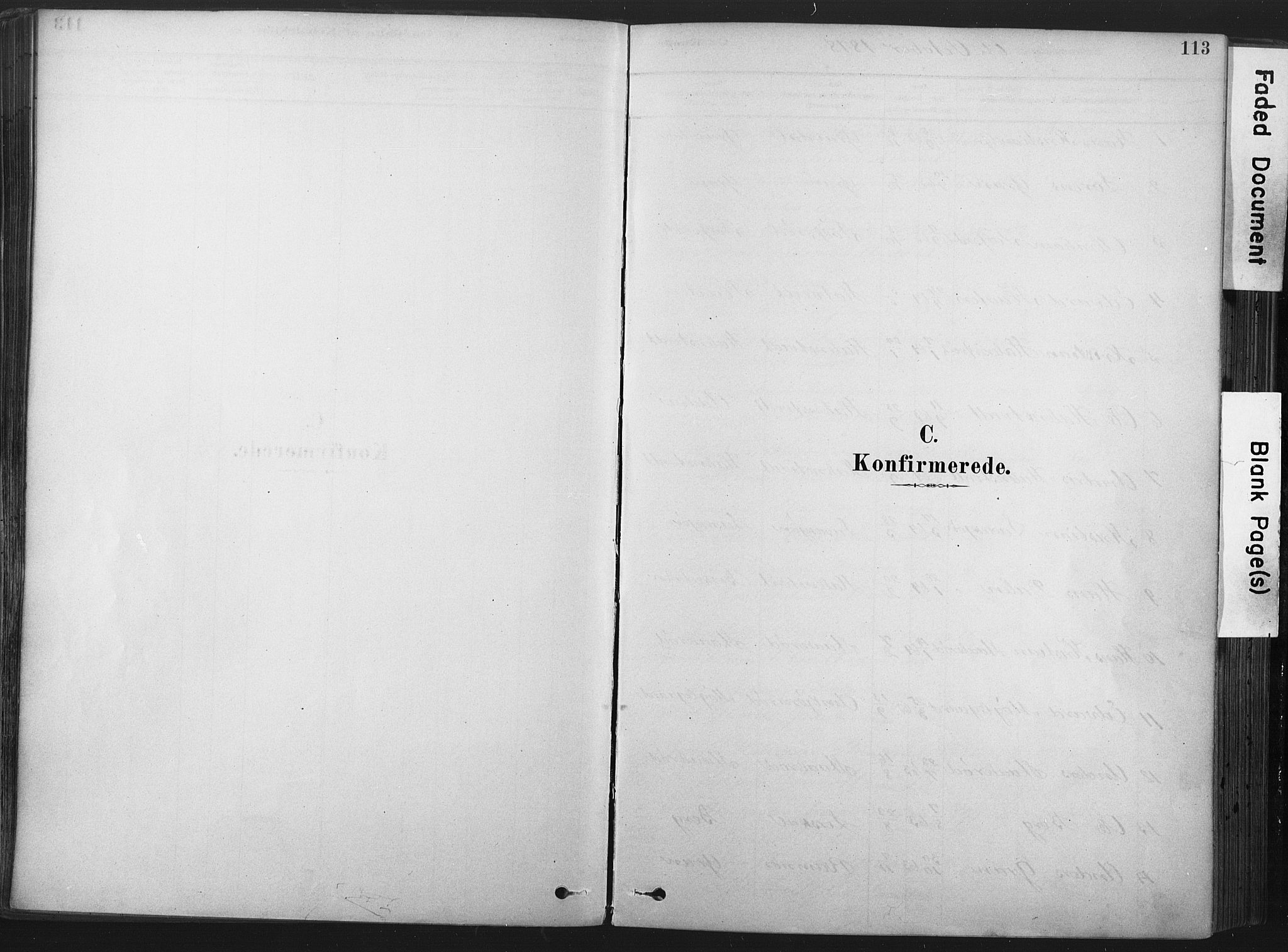Andebu kirkebøker, SAKO/A-336/F/Fa/L0007: Parish register (official) no. 7, 1878-1899, p. 113