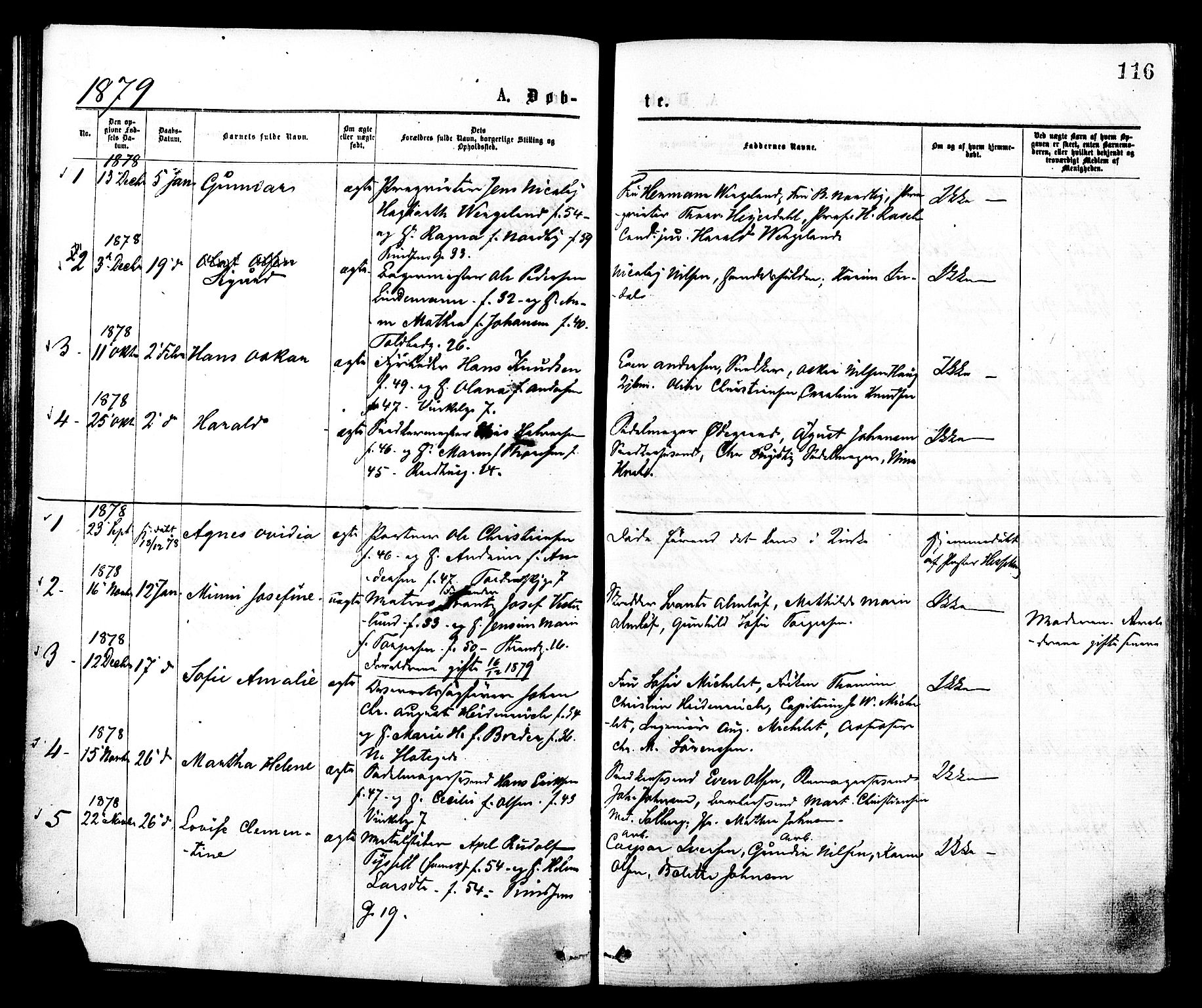Johannes prestekontor Kirkebøker, SAO/A-10852/F/Fa/L0001: Parish register (official) no. 1, 1875-1881, p. 116