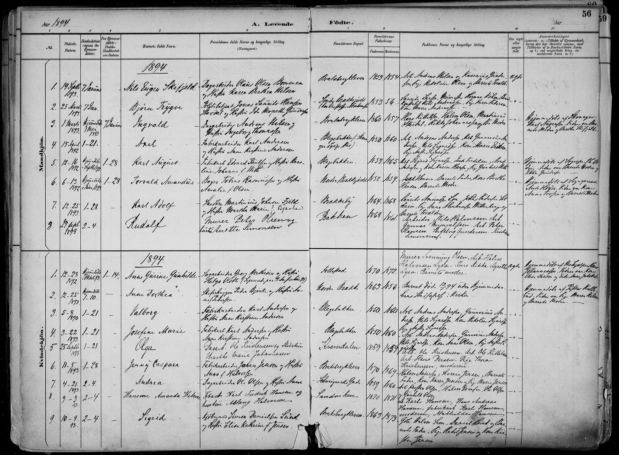 Skien kirkebøker, SAKO/A-302/F/Fa/L0010: Parish register (official) no. 10, 1891-1899, p. 56