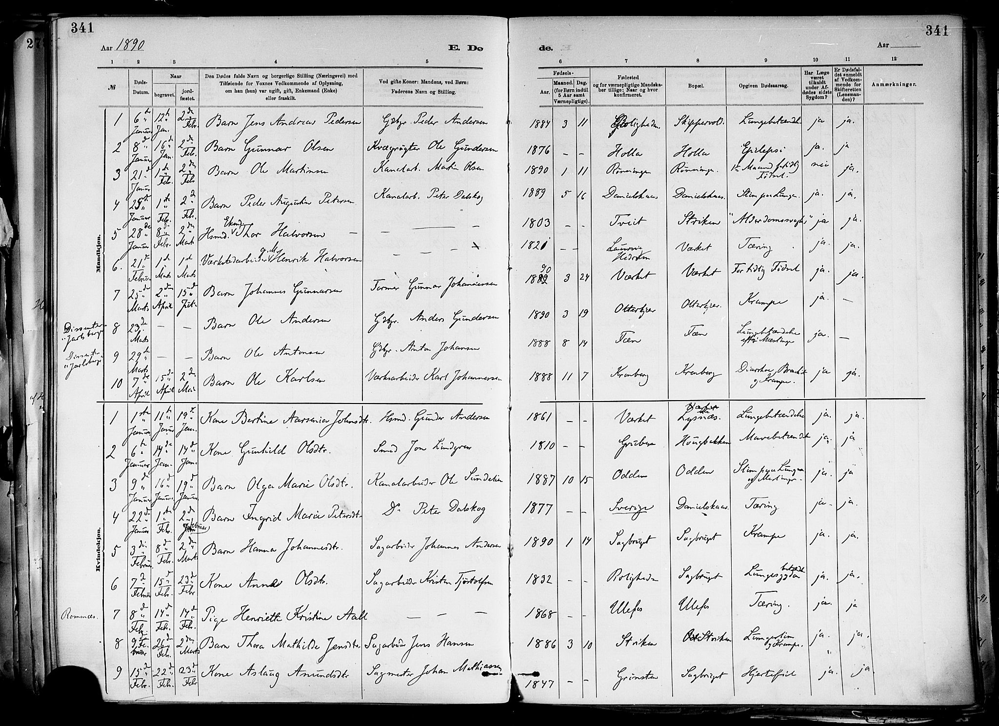 Holla kirkebøker, SAKO/A-272/F/Fa/L0008: Parish register (official) no. 8, 1882-1897, p. 341