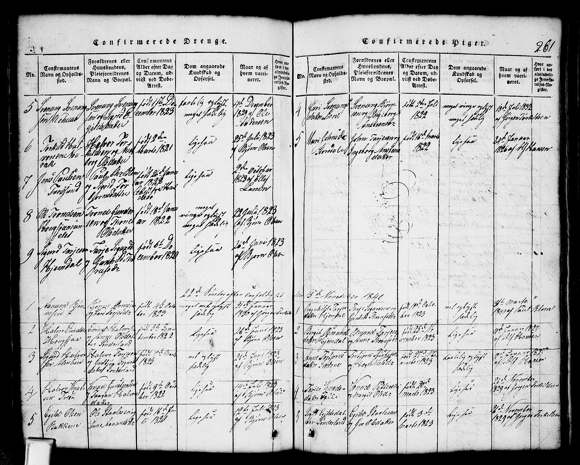 Nissedal kirkebøker, SAKO/A-288/G/Gb/L0001: Parish register (copy) no. II 1, 1814-1862, p. 261