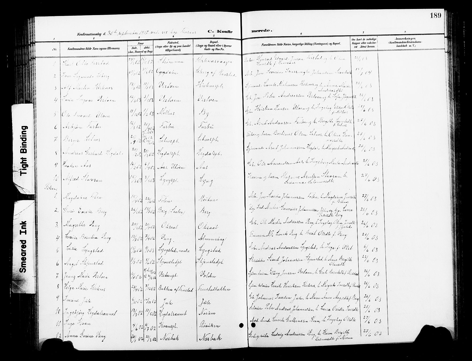 Ministerialprotokoller, klokkerbøker og fødselsregistre - Nord-Trøndelag, SAT/A-1458/730/L0302: Parish register (copy) no. 730C05, 1898-1924, p. 189