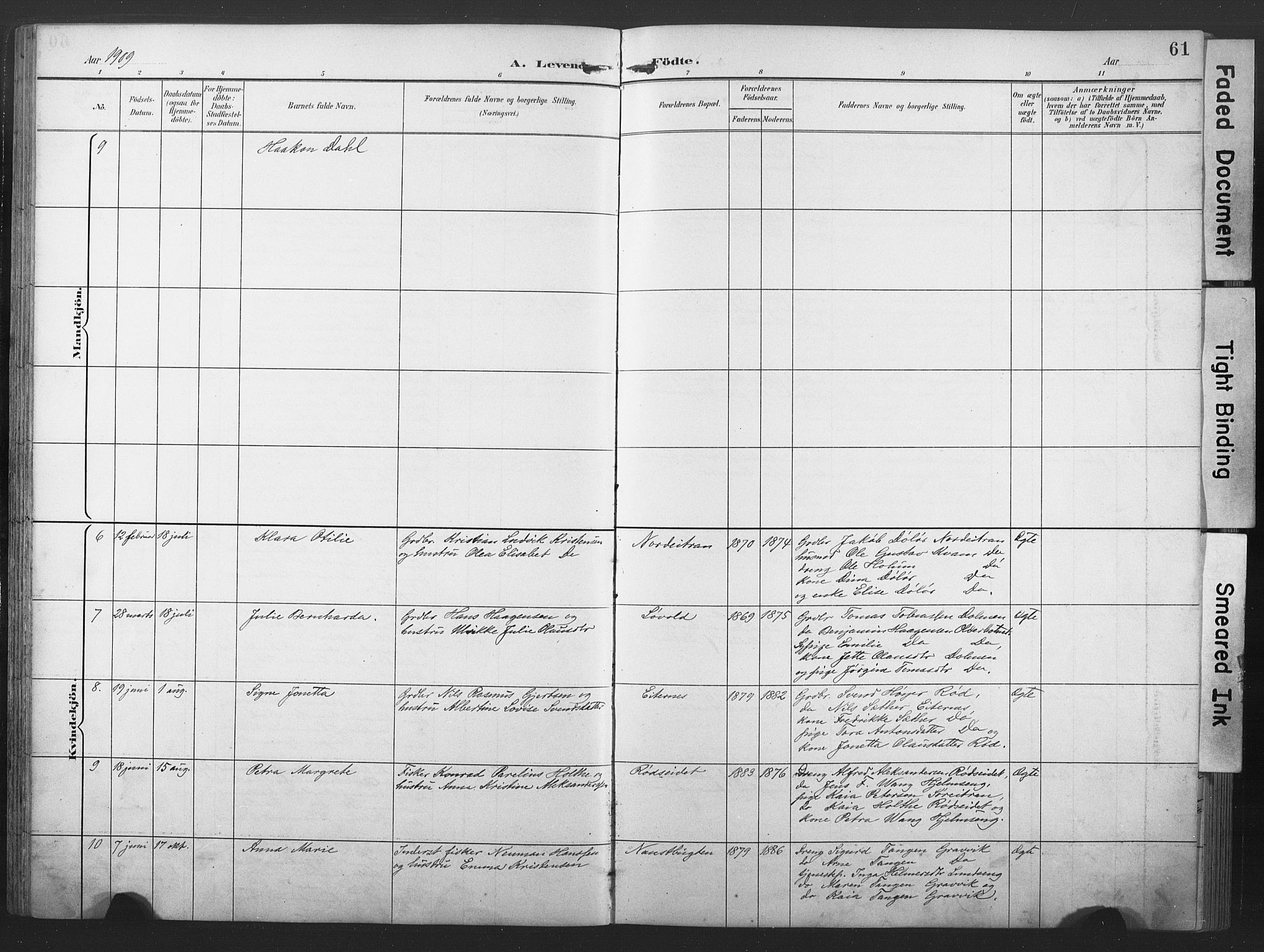 Ministerialprotokoller, klokkerbøker og fødselsregistre - Nord-Trøndelag, AV/SAT-A-1458/789/L0706: Parish register (copy) no. 789C01, 1888-1931, p. 61