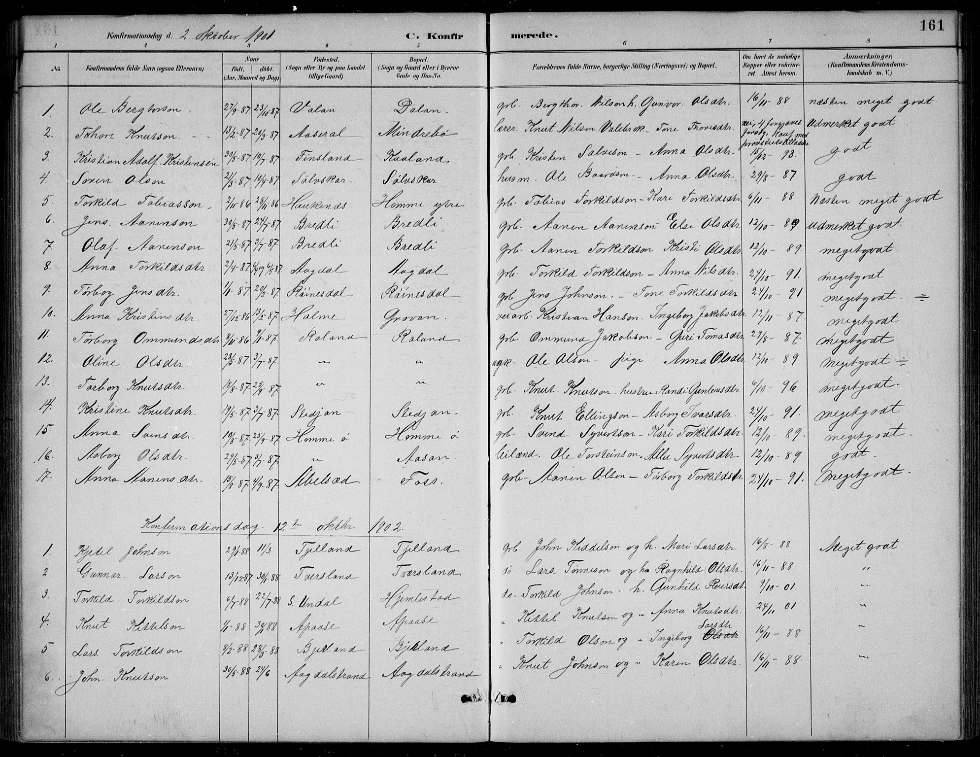 Bjelland sokneprestkontor, SAK/1111-0005/F/Fb/Fba/L0005: Parish register (copy) no. B 5, 1887-1923, p. 161