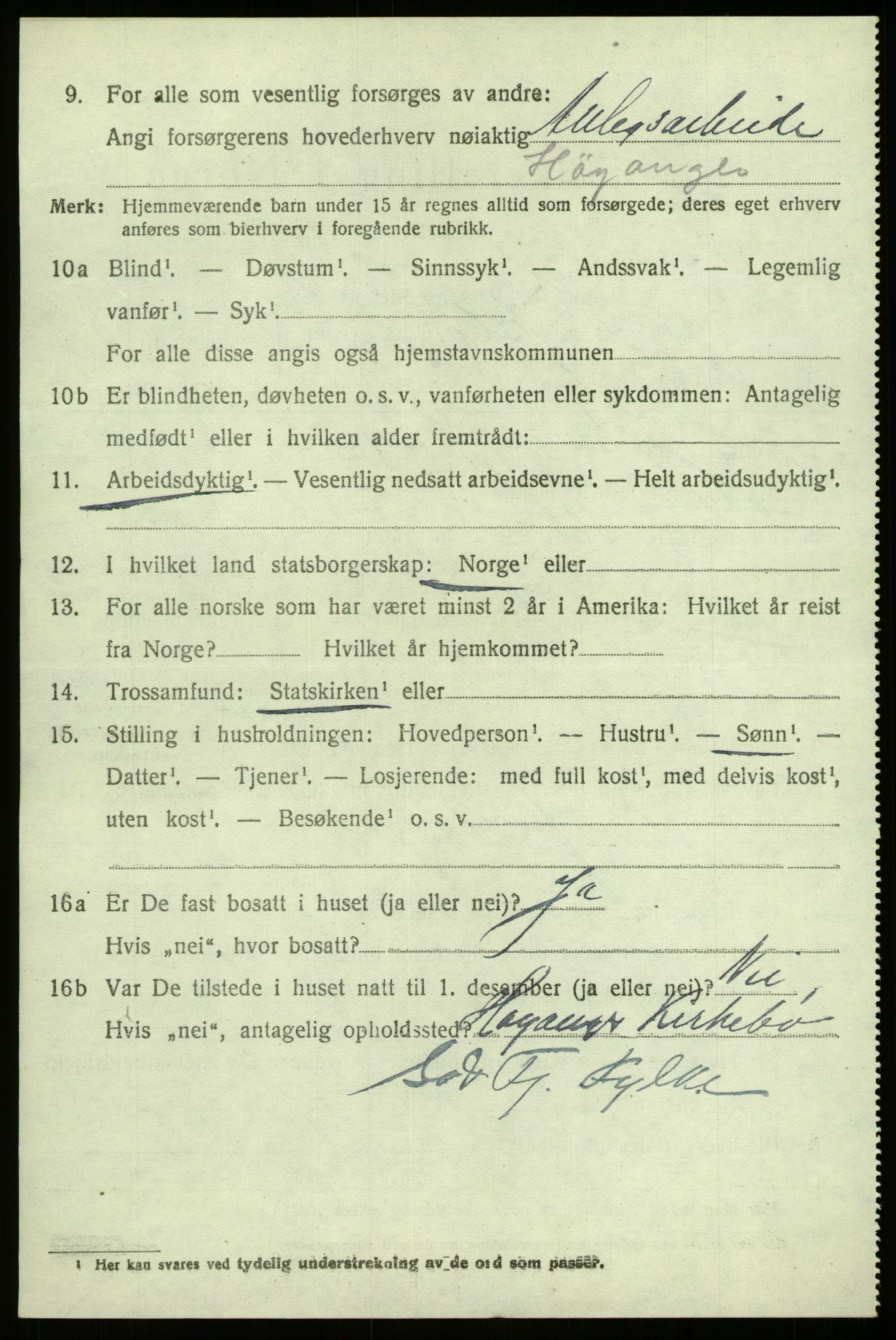 SAB, 1920 census for Hafslo, 1920, p. 6317