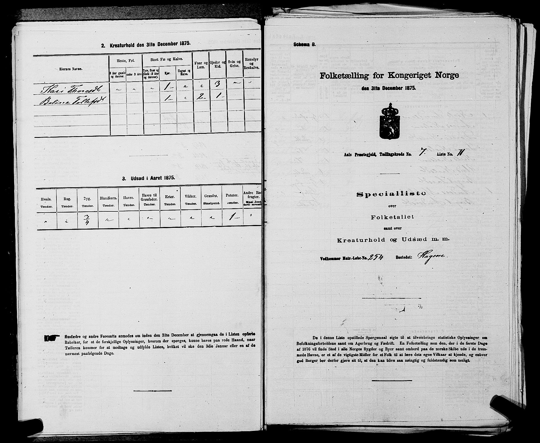 SAKO, 1875 census for 0619P Ål, 1875, p. 856