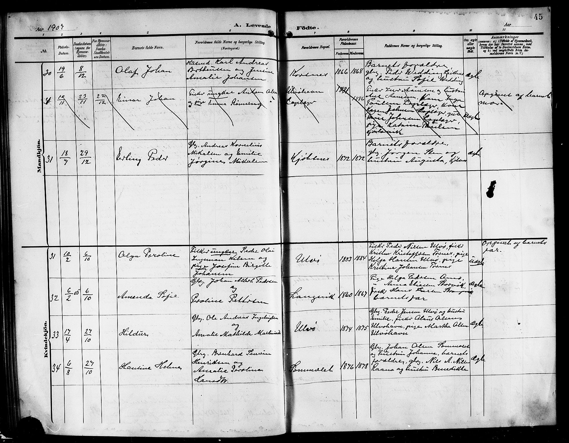 Ministerialprotokoller, klokkerbøker og fødselsregistre - Nordland, AV/SAT-A-1459/861/L0877: Parish register (copy) no. 861C03, 1903-1919, p. 45