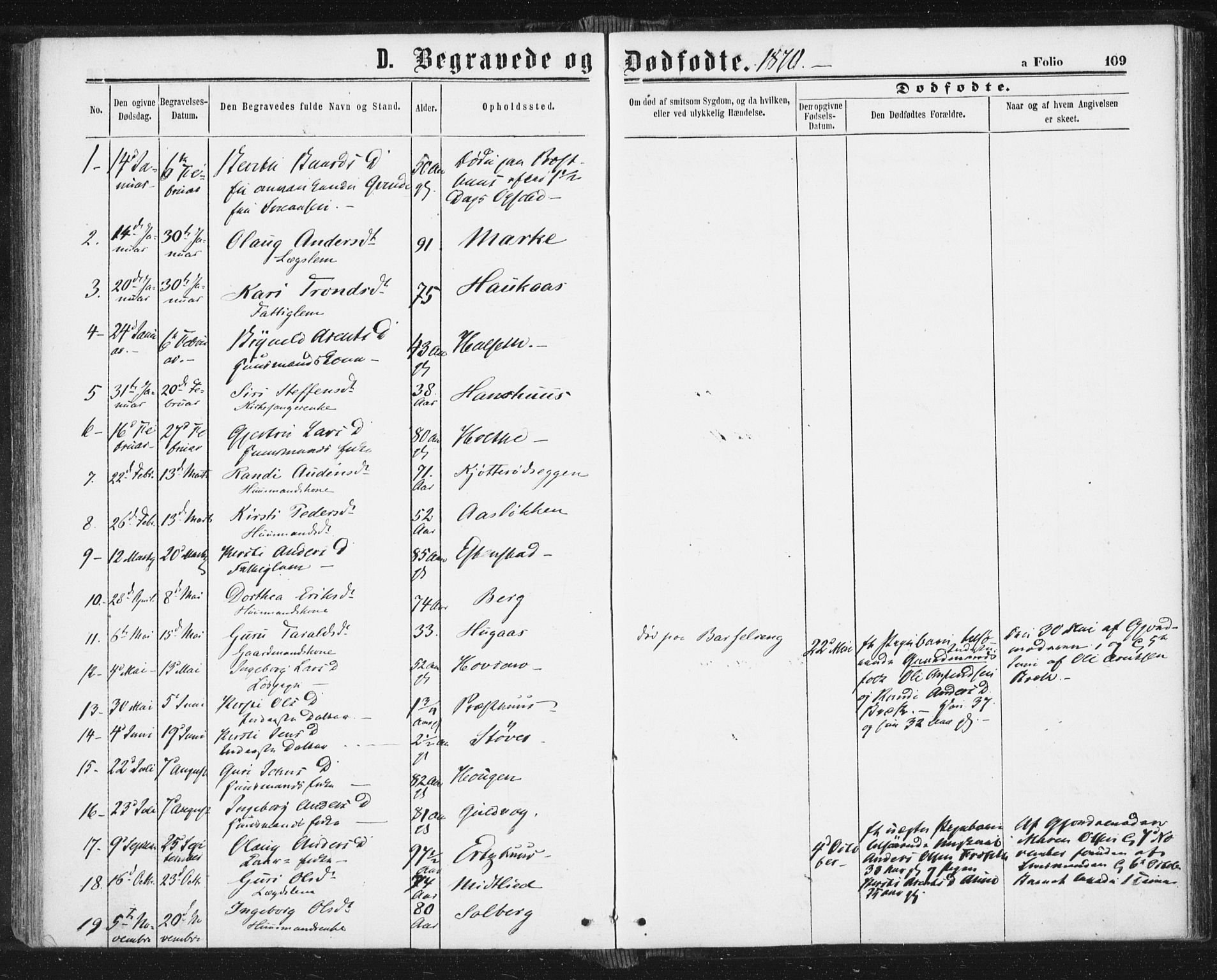 Ministerialprotokoller, klokkerbøker og fødselsregistre - Sør-Trøndelag, SAT/A-1456/689/L1039: Parish register (official) no. 689A04, 1865-1878, p. 109