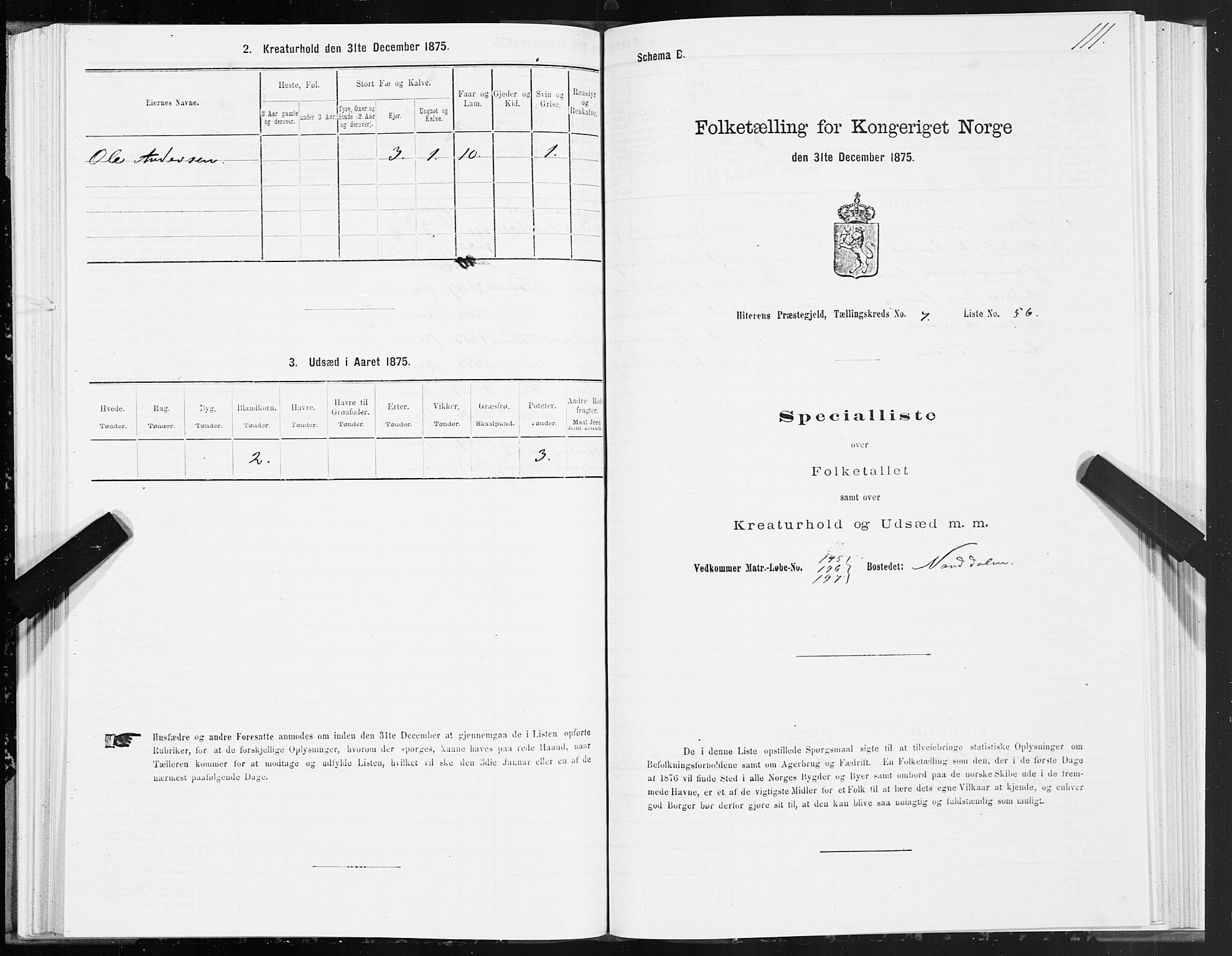 SAT, 1875 census for 1617P Hitra, 1875, p. 4111