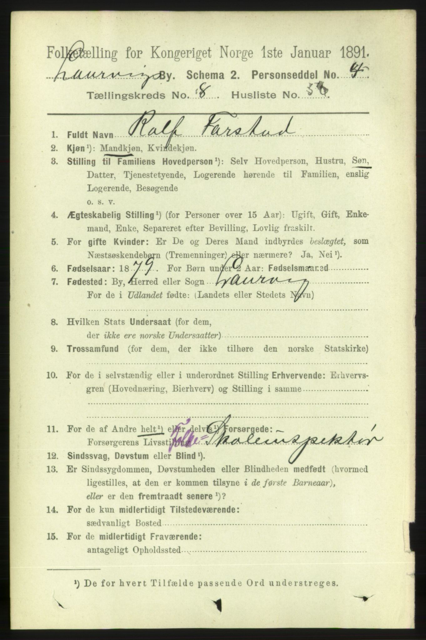 RA, 1891 census for 0707 Larvik, 1891, p. 8491