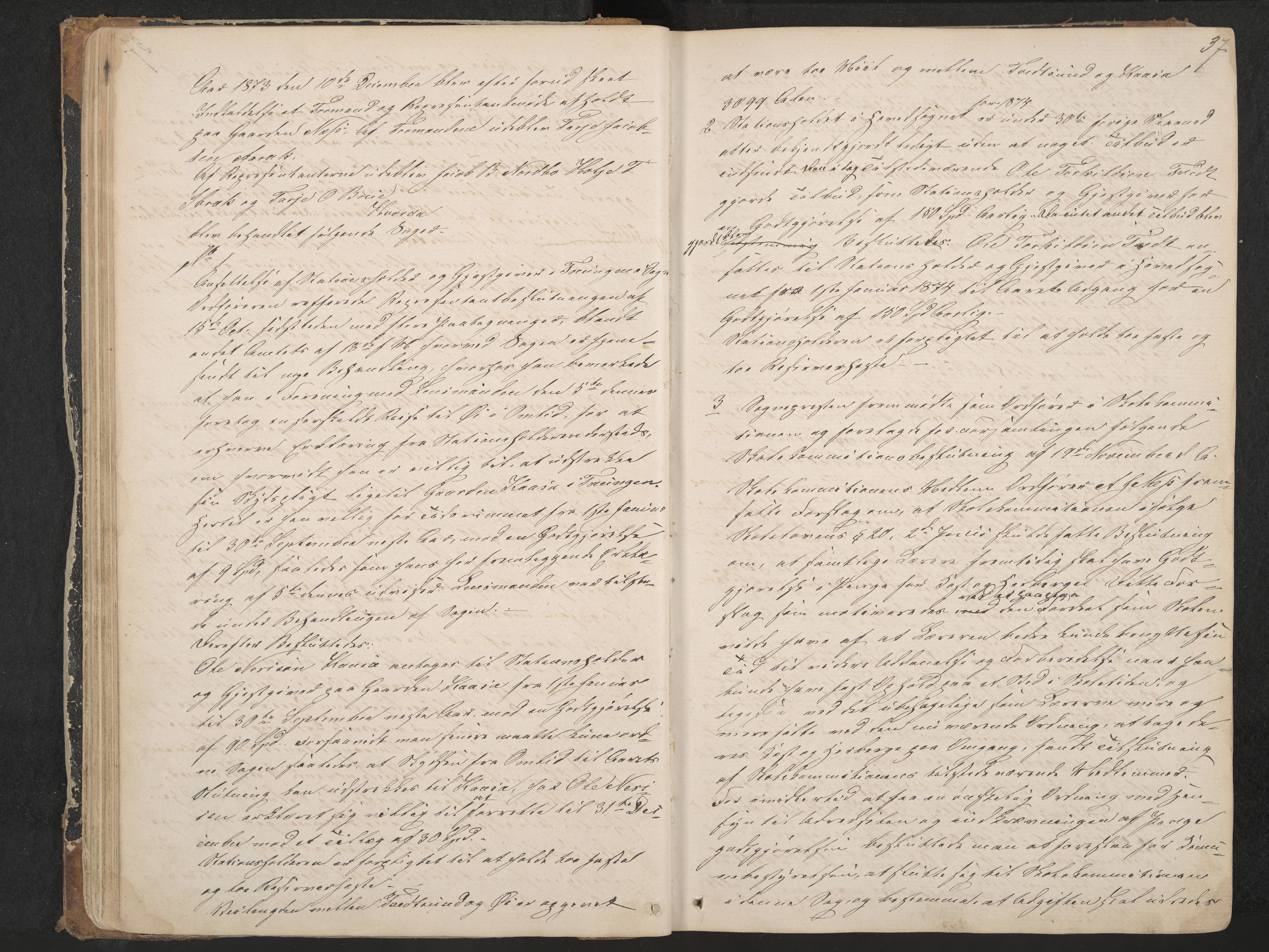 Nissedal formannskap og sentraladministrasjon, IKAK/0830021-1/A/L0002: Møtebok, 1870-1892, p. 37