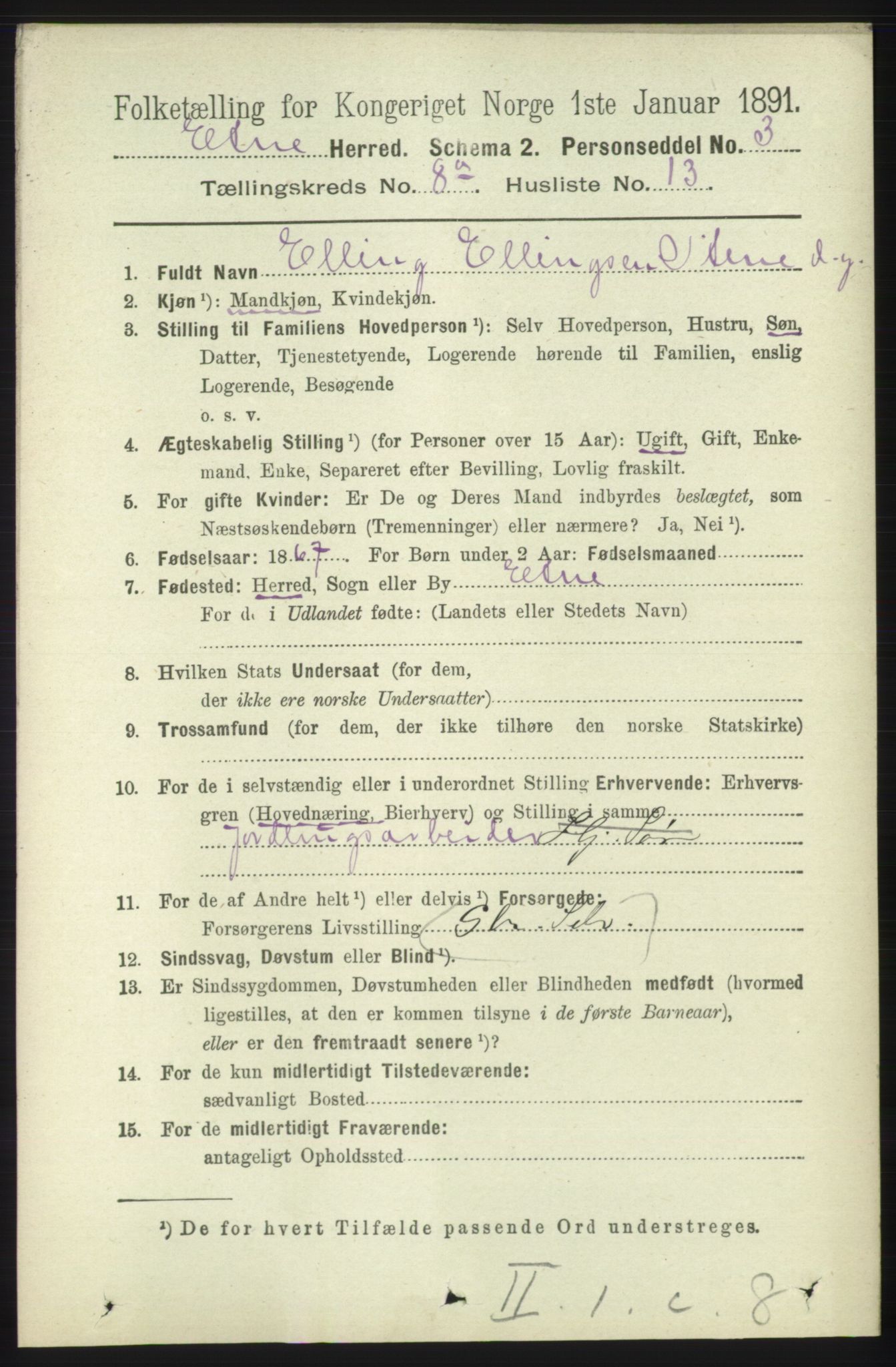 RA, 1891 census for 1211 Etne, 1891, p. 1593